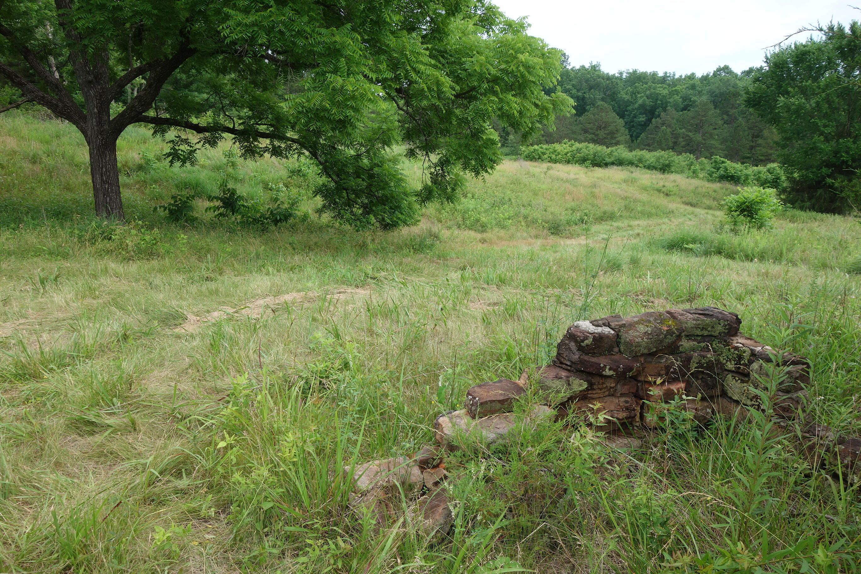 000 County Road 522 Property Photo 43