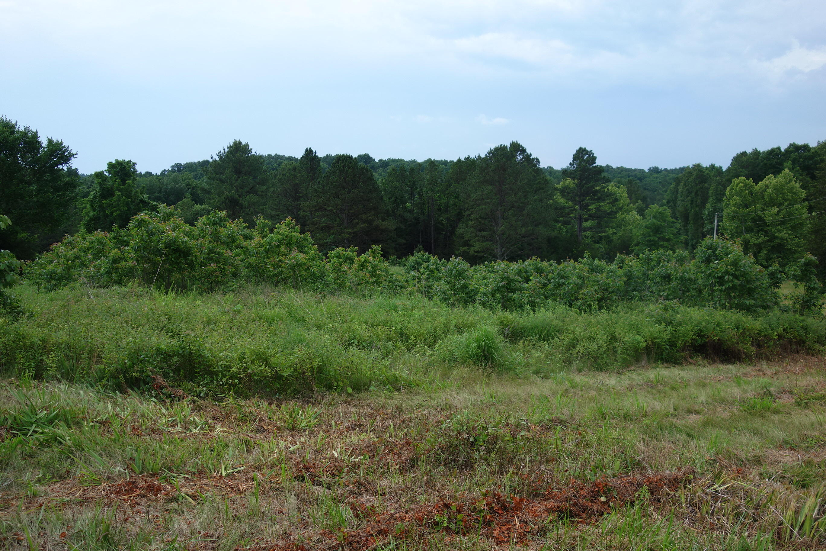 000 County Road 522 Property Photo 44