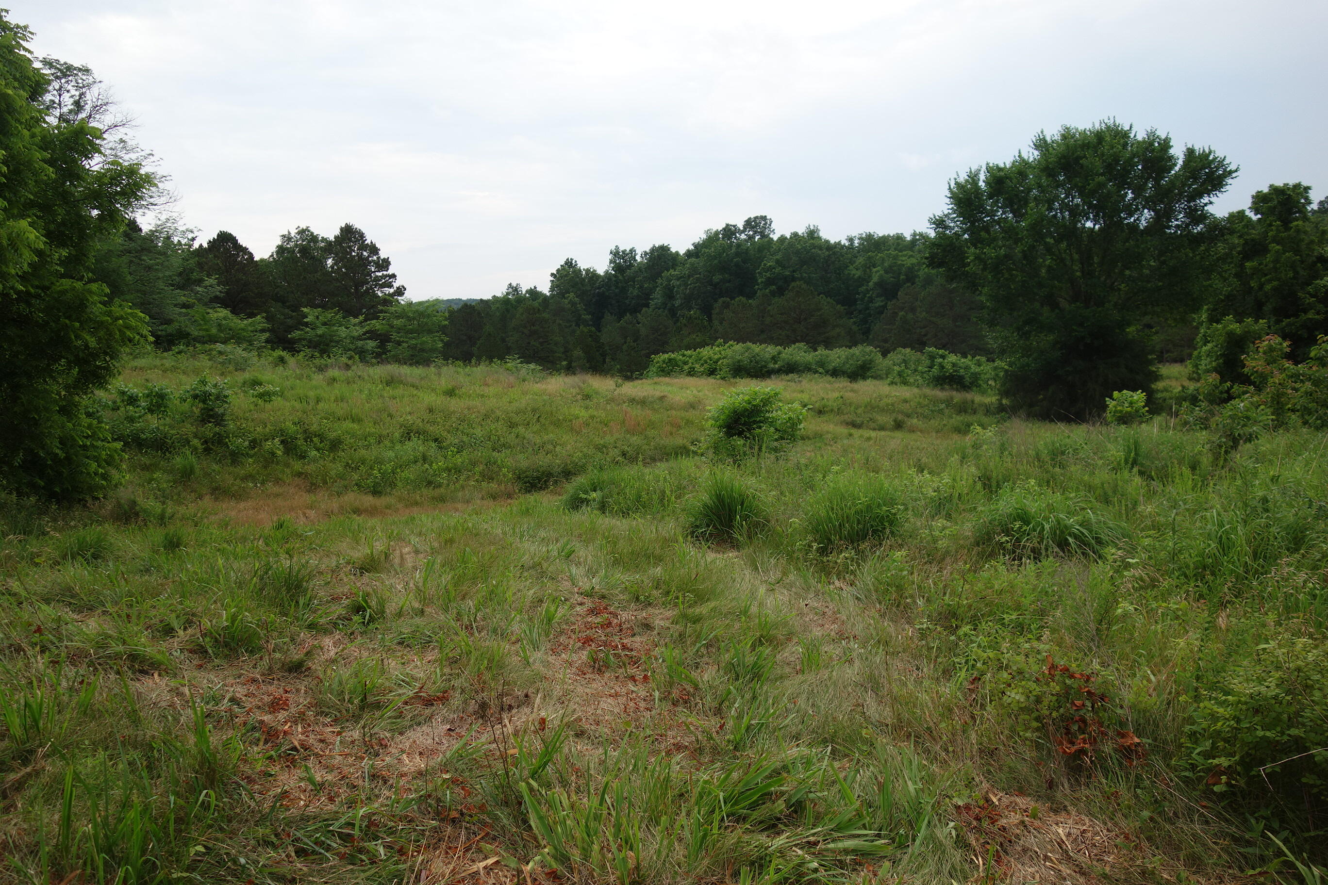 000 County Road 522 Property Photo 45