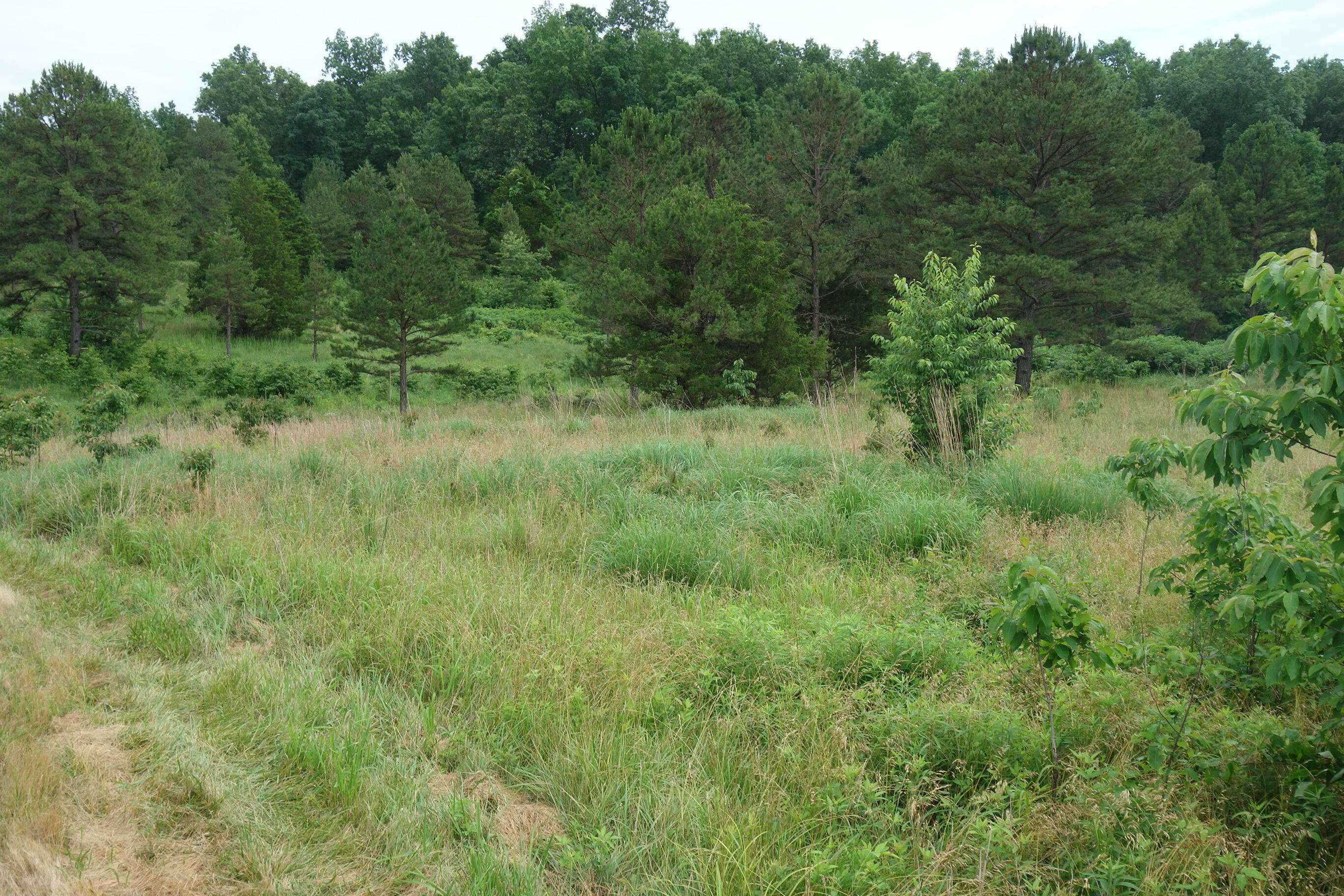000 County Road 522 Property Photo 46