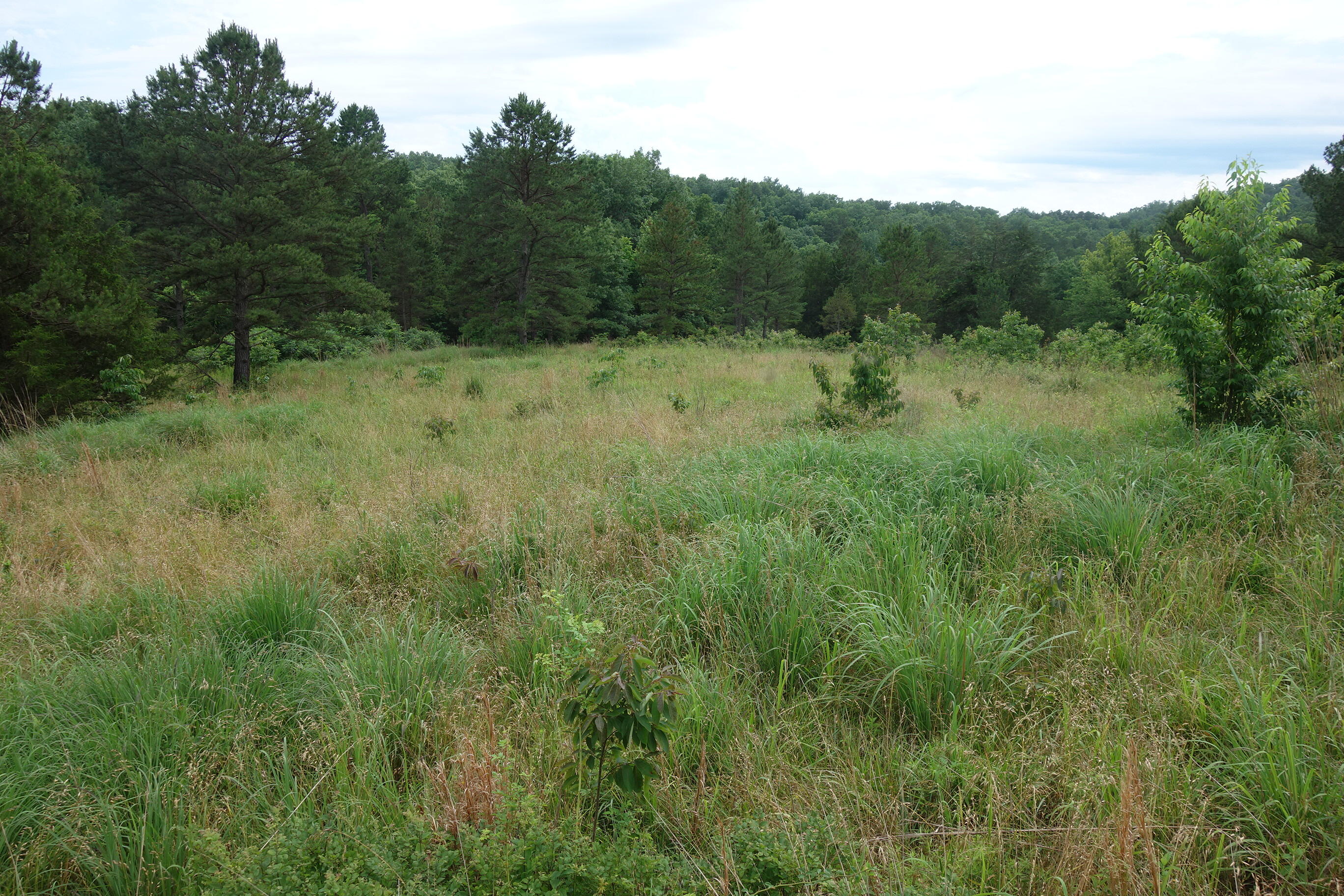 000 County Road 522 Property Photo 47