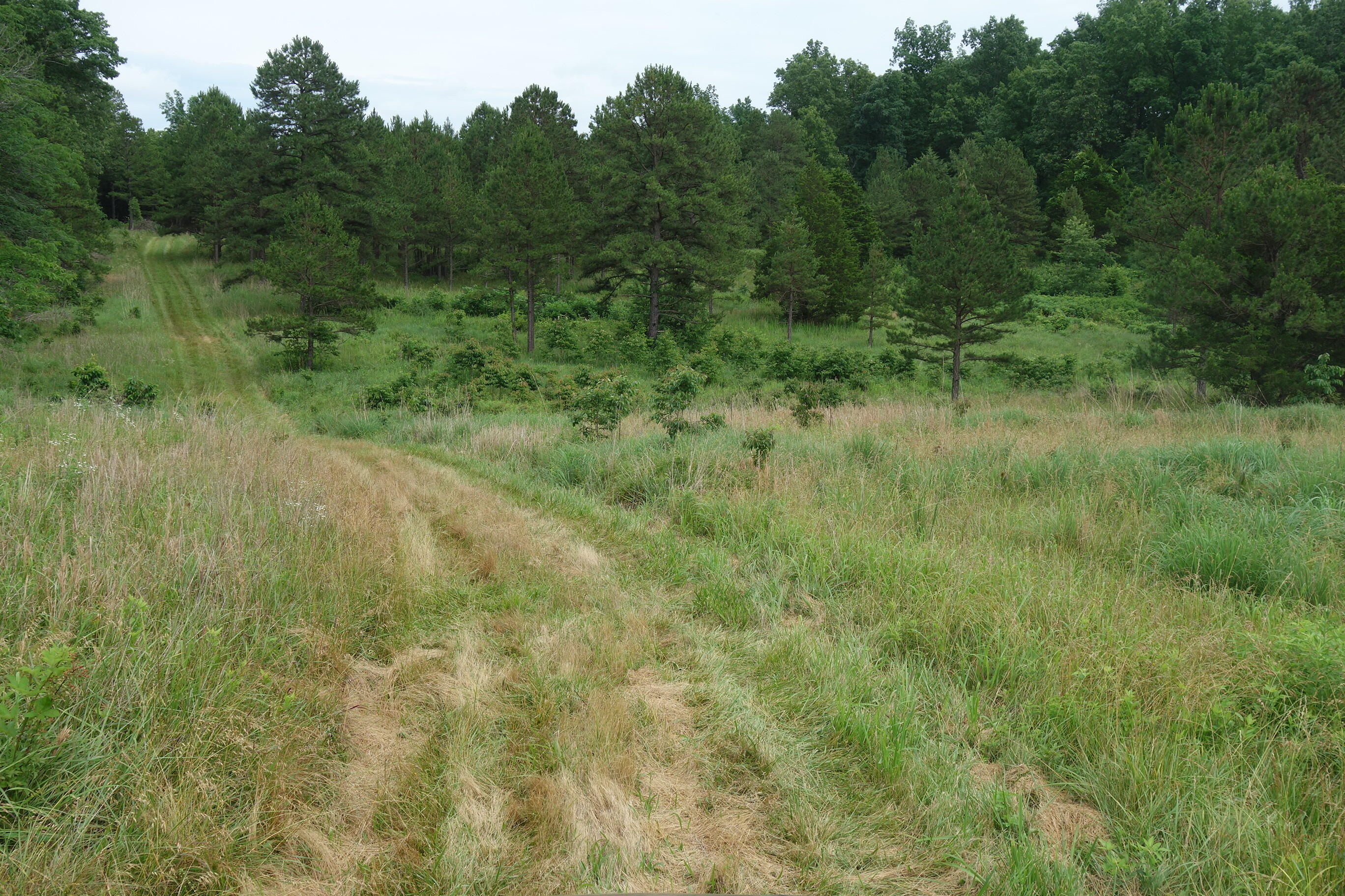000 County Road 522 Property Photo 48