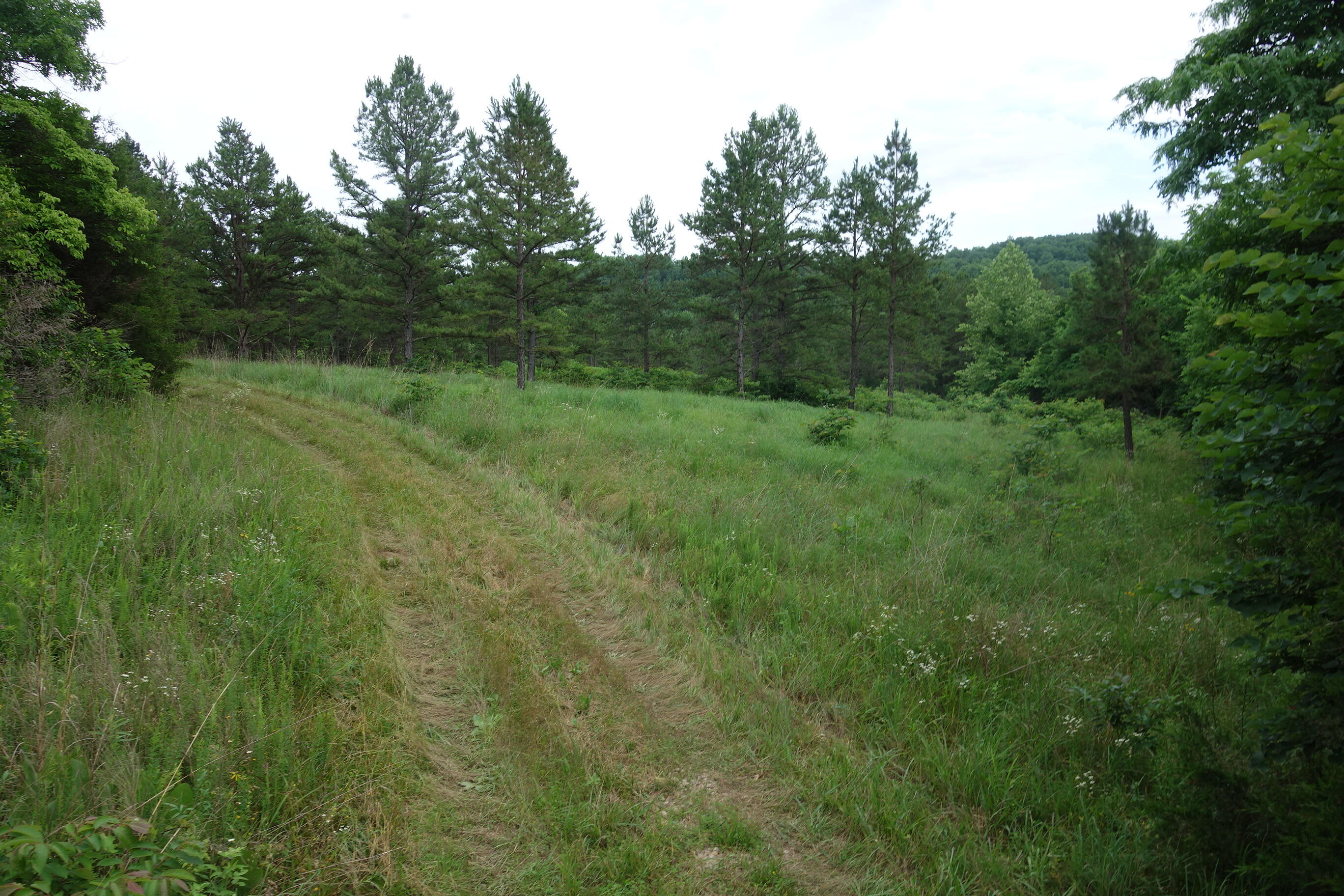 000 County Road 522 Property Photo 49