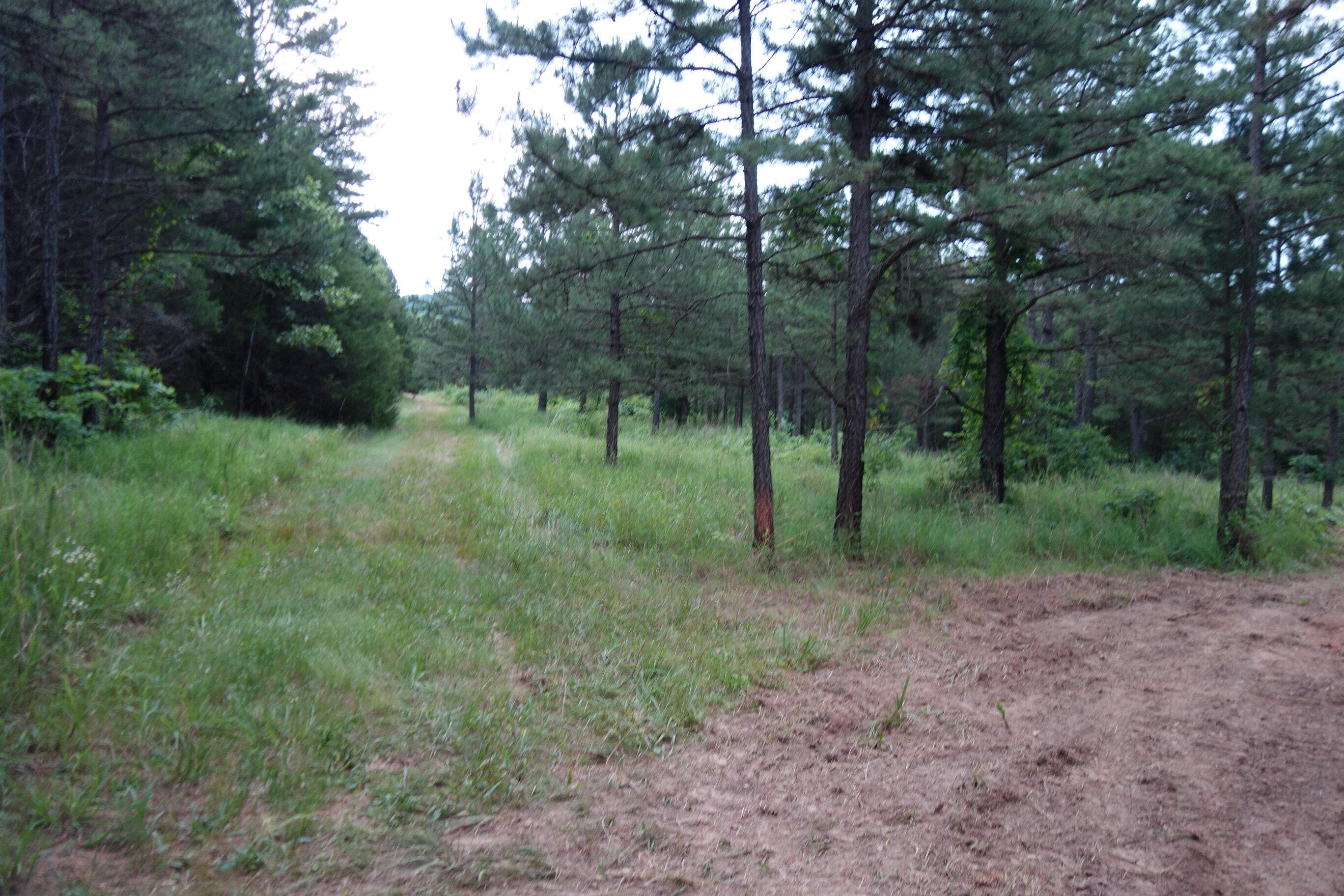 000 County Road 522 Property Photo 50