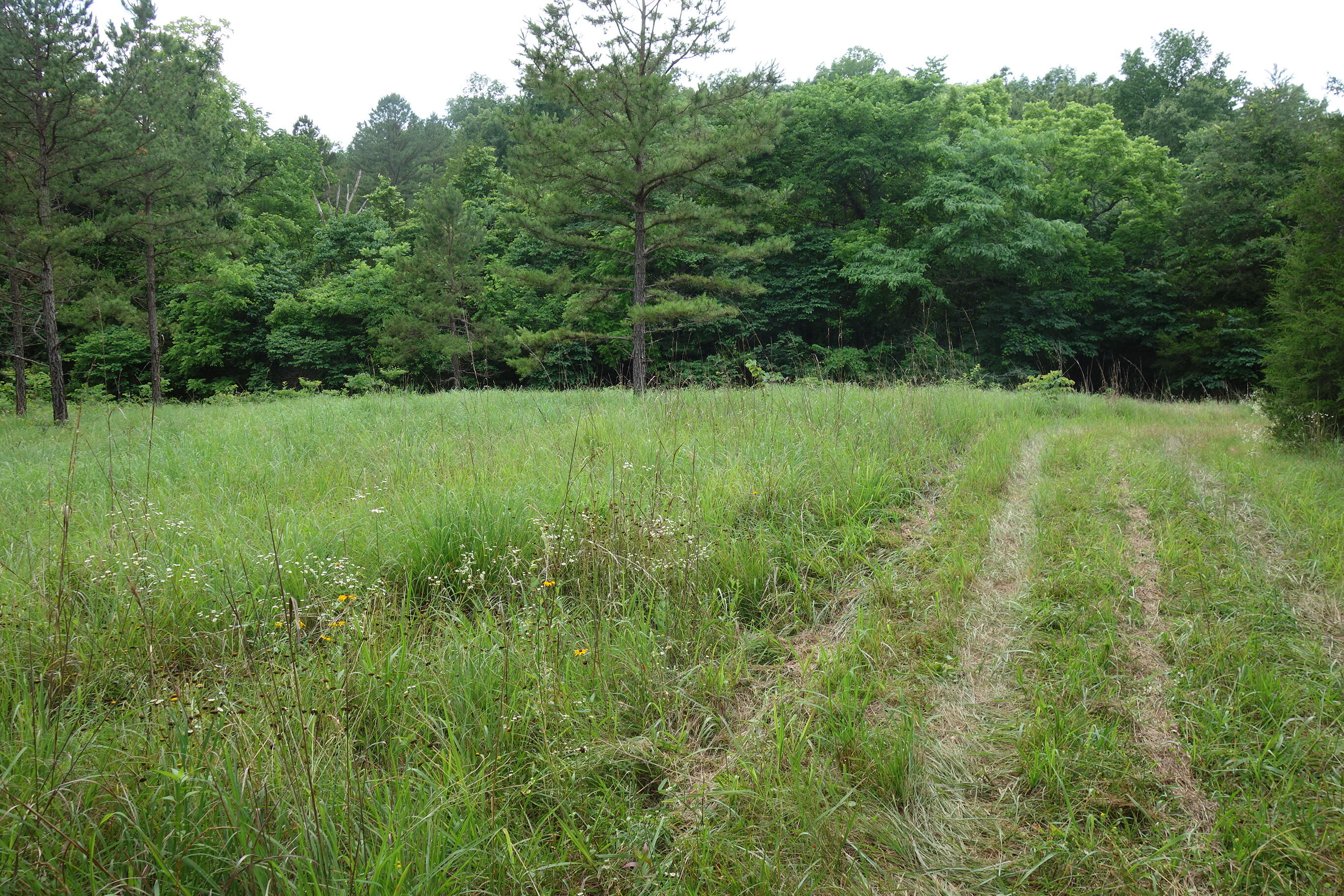 000 County Road 522 Property Photo 51