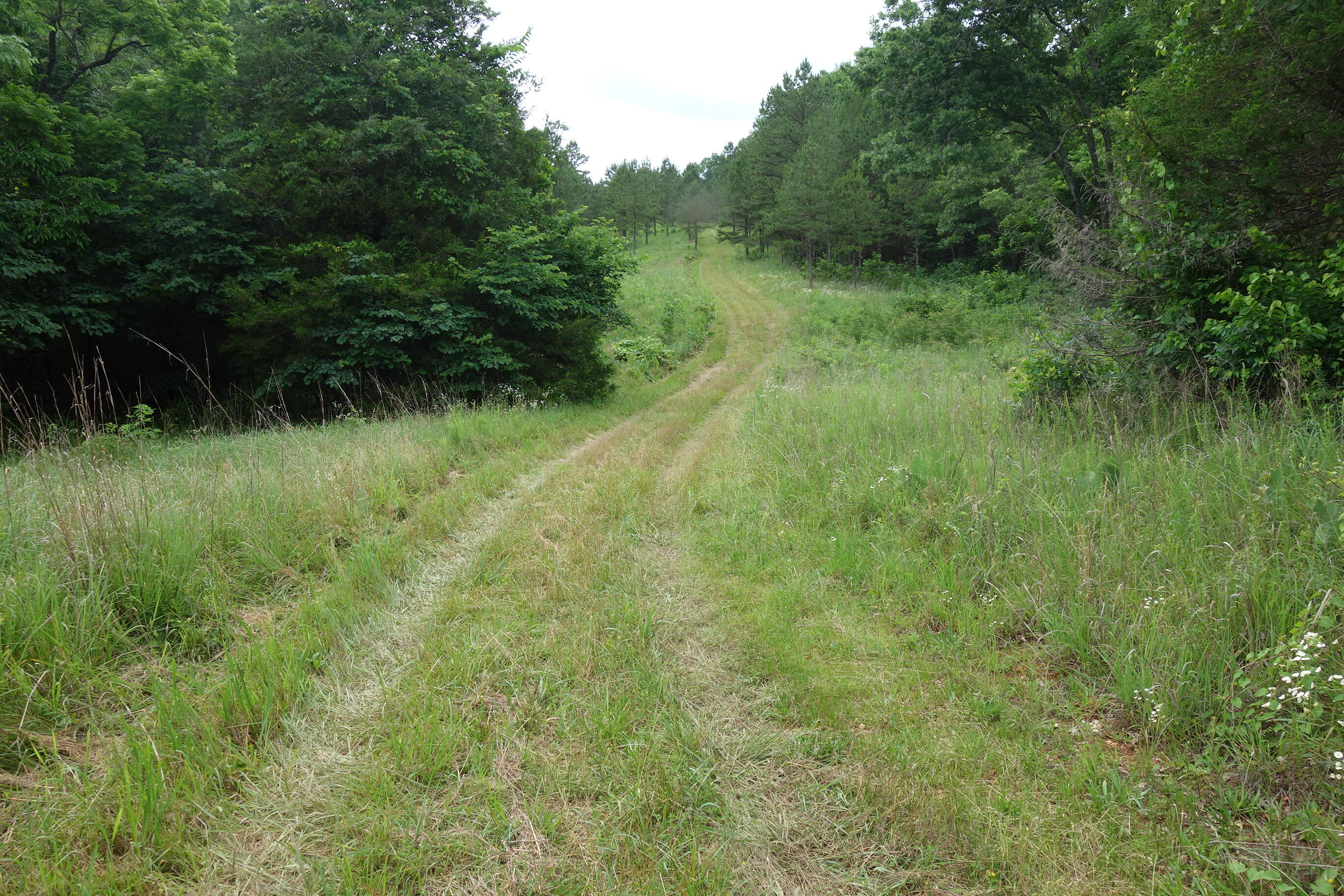 000 County Road 522 Property Photo 52