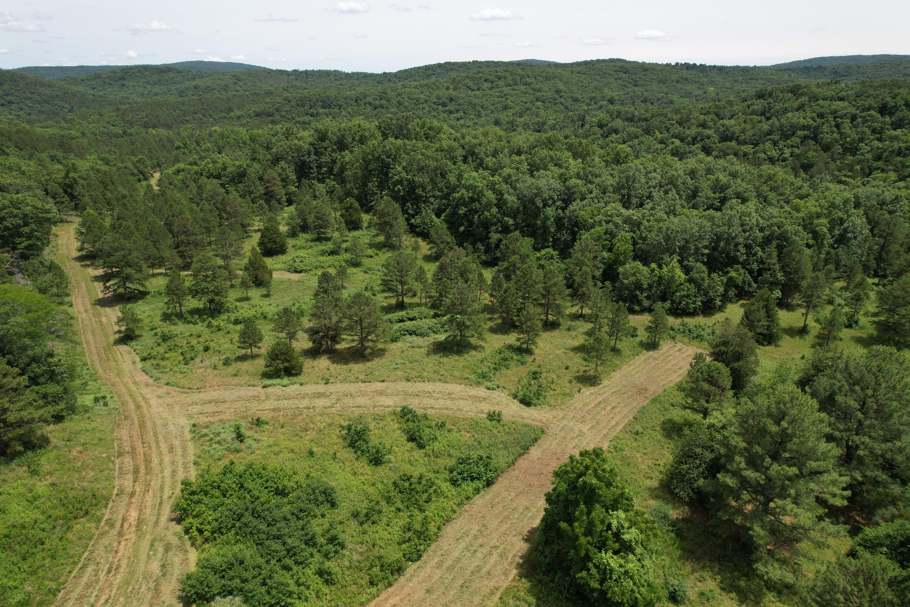000 County Road 522 Property Photo 57
