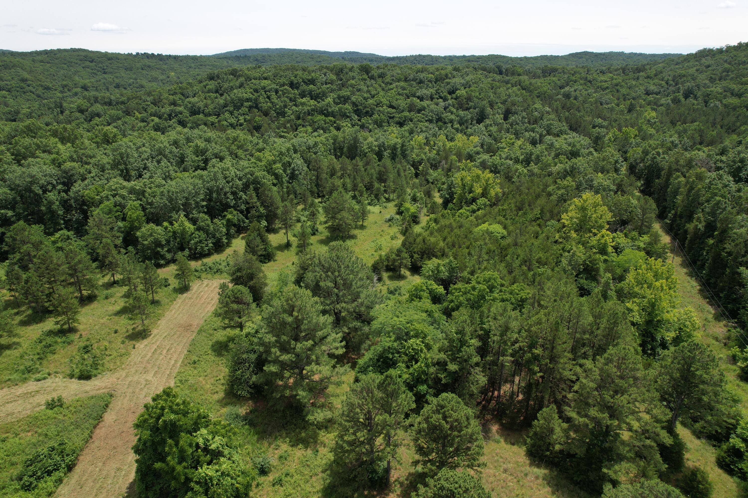000 County Road 522 Property Photo 58