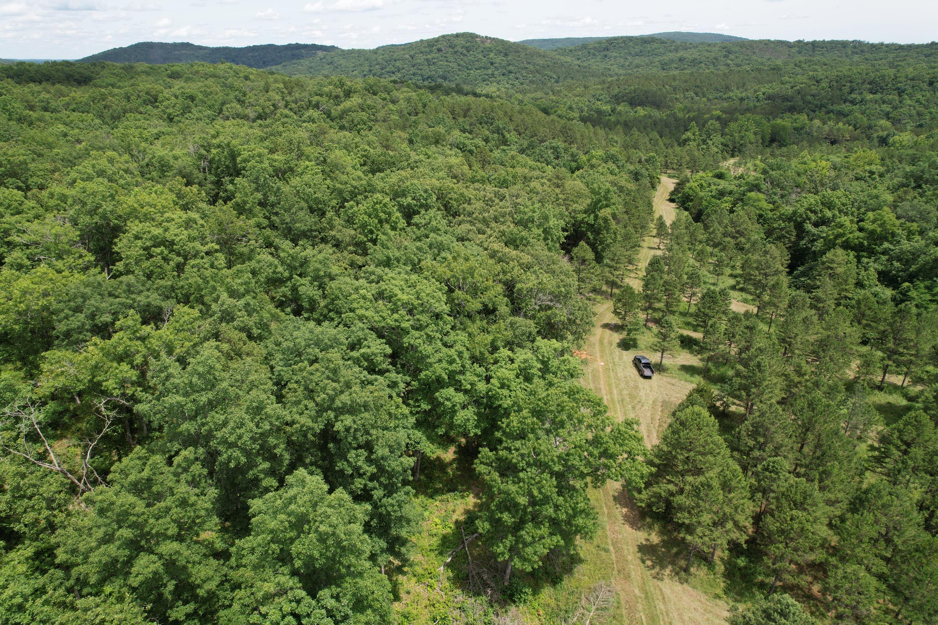 000 County Road 522 Property Photo 67