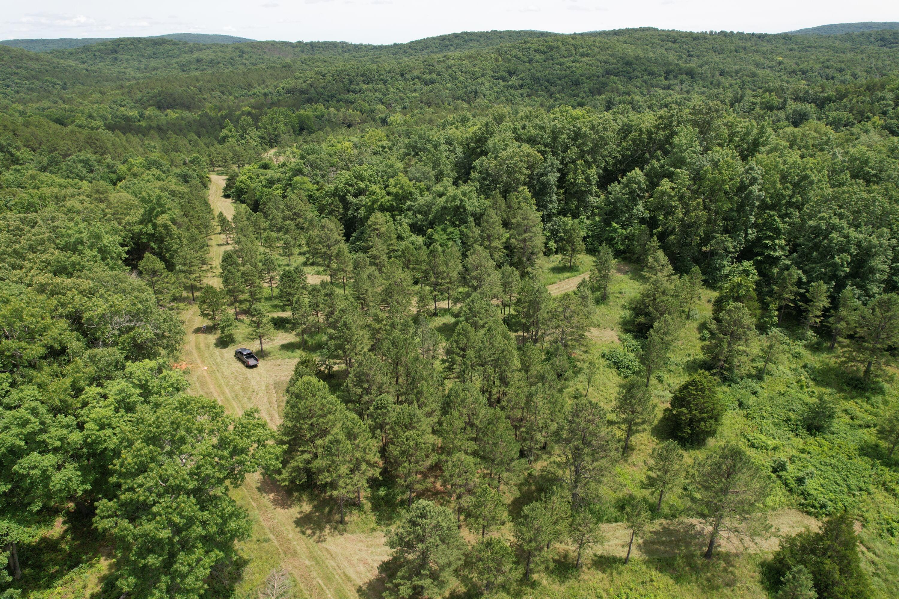 000 County Road 522 Property Photo 68