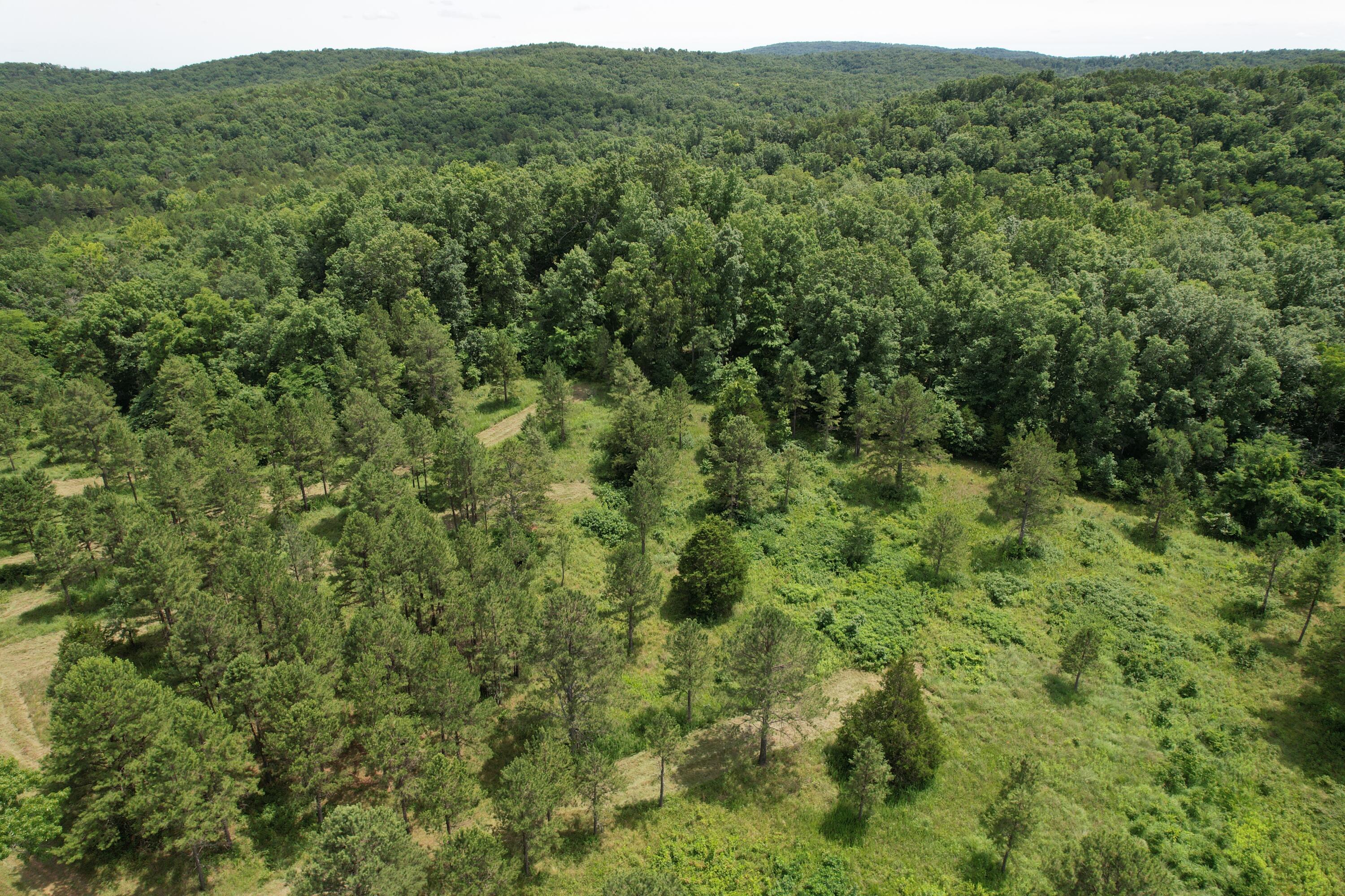 000 County Road 522 Property Photo 69