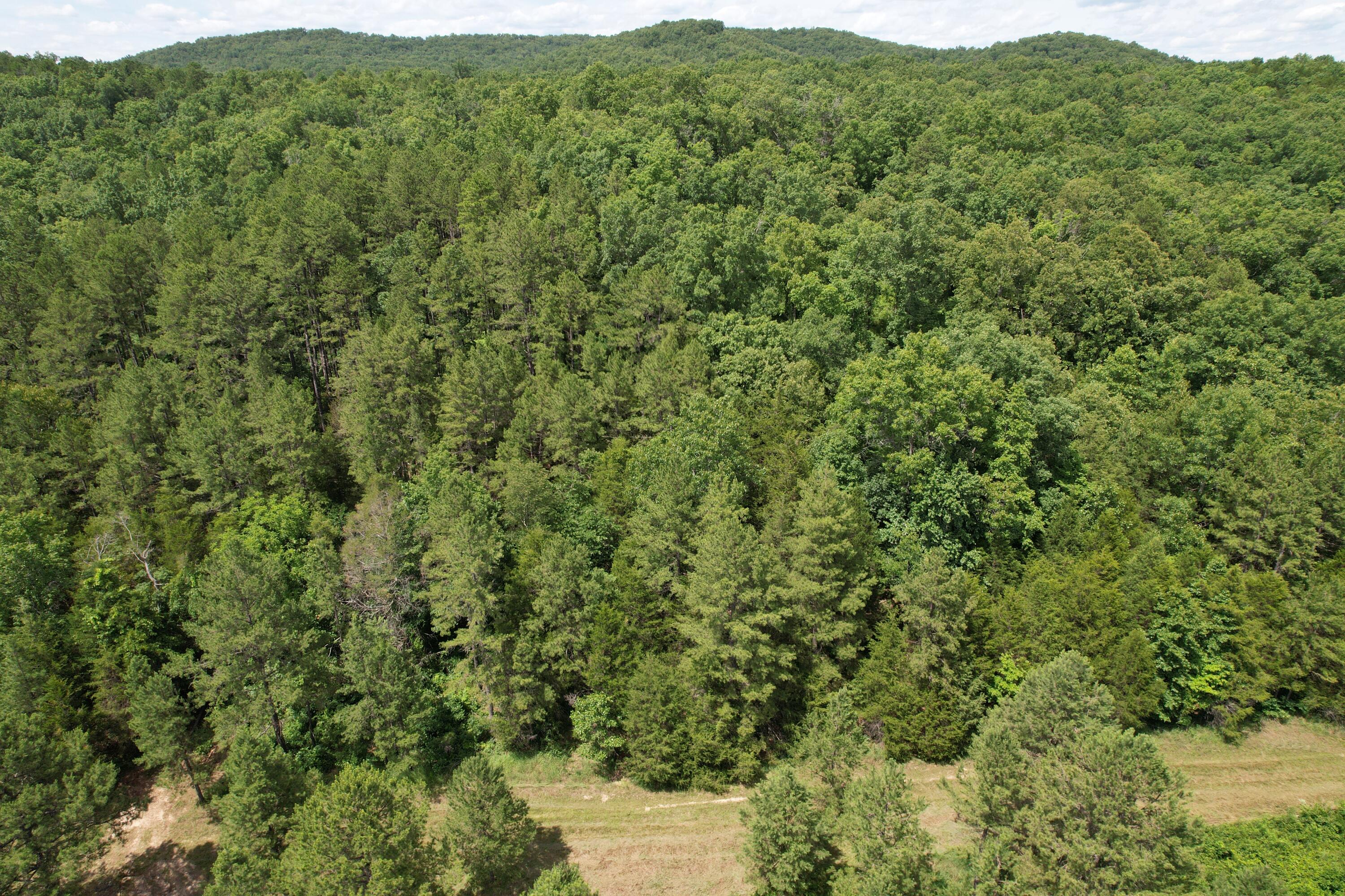 000 County Road 522 Property Photo 75