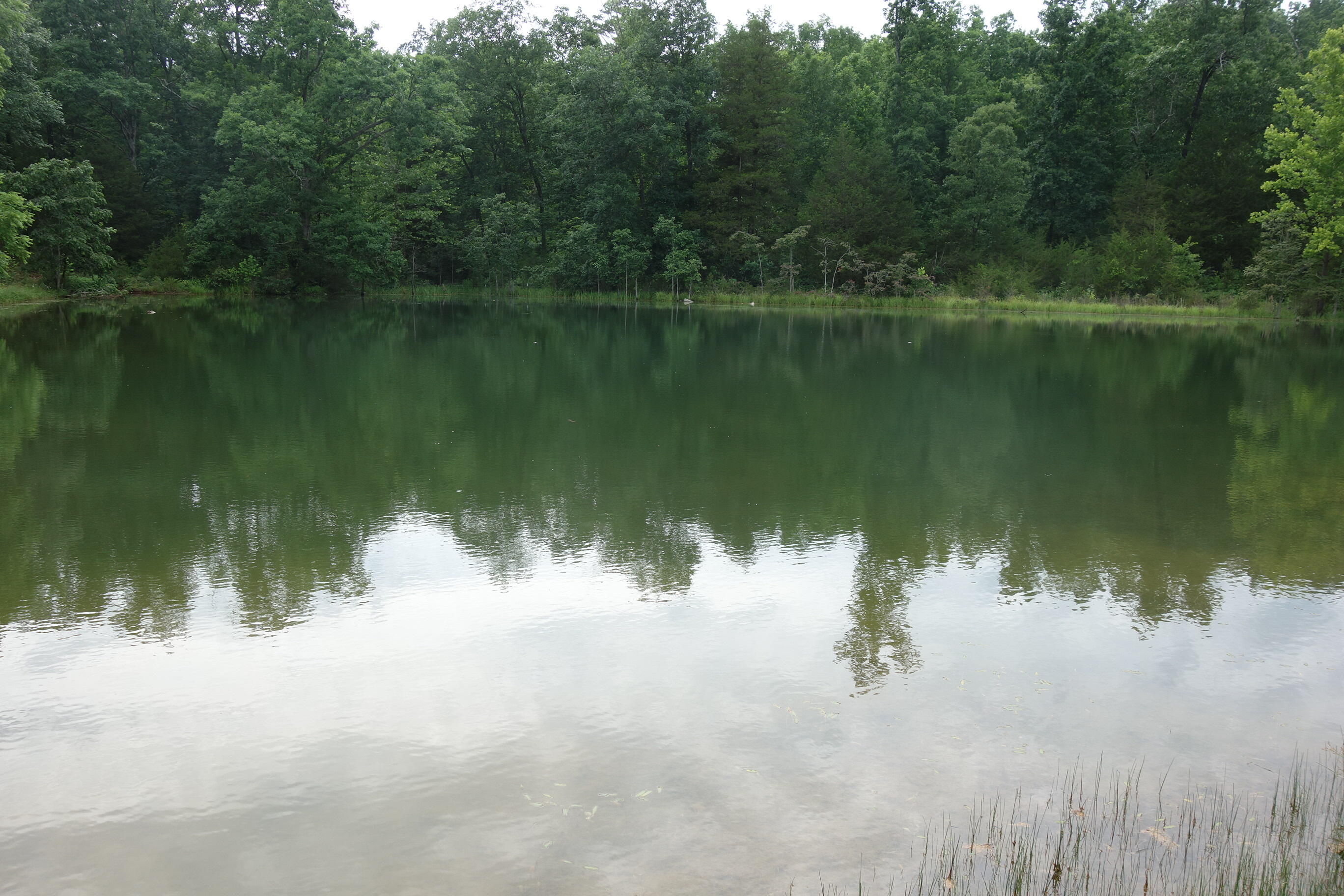 000 County Road 522 Property Photo 80