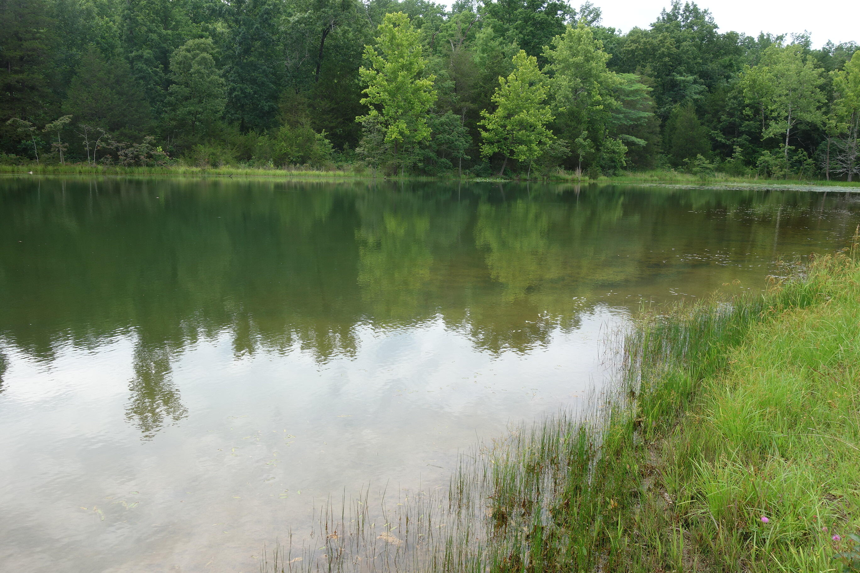 000 County Road 522 Property Photo 81
