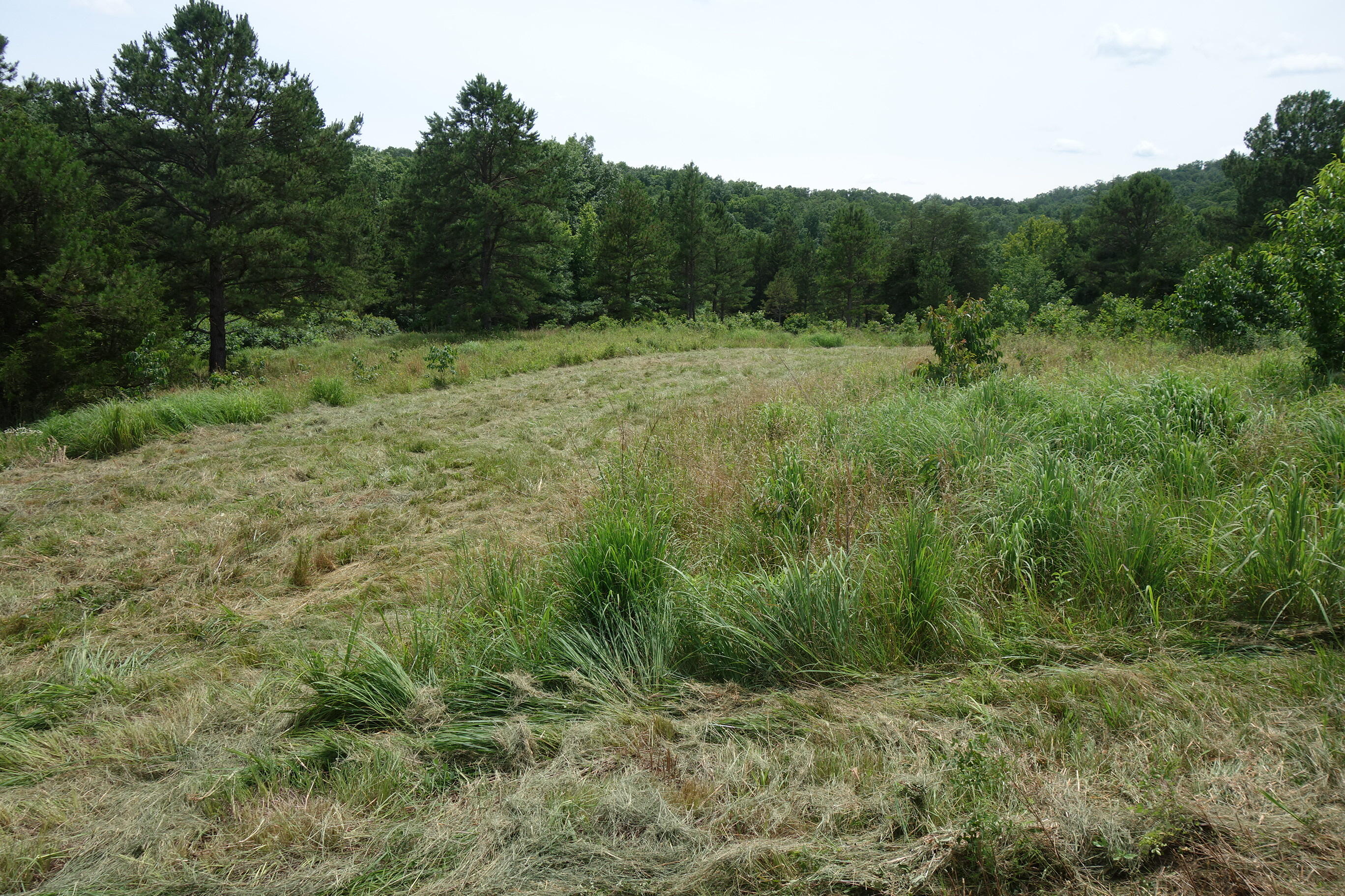 000 County Road 522 Property Photo 82