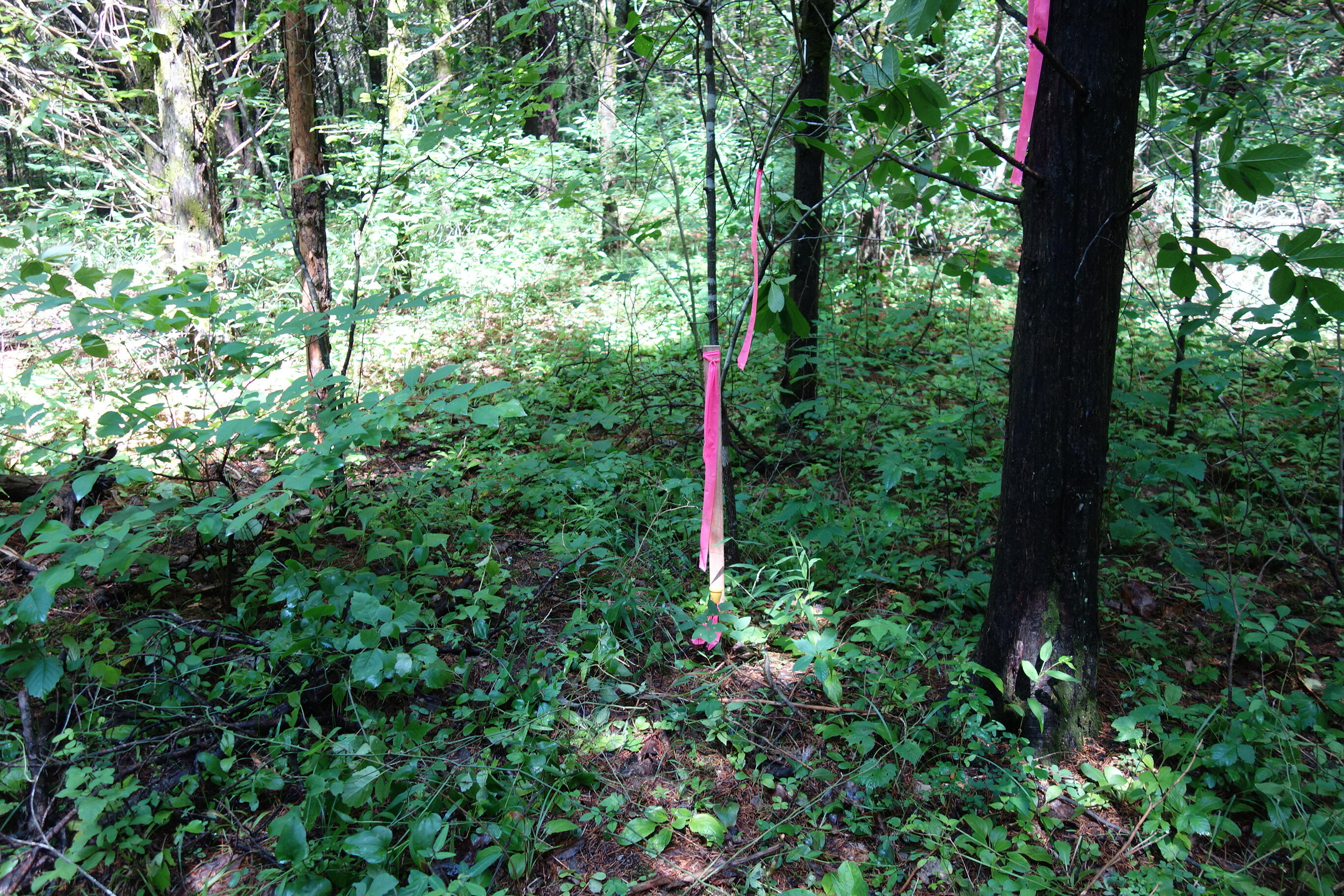000 County Road 522 Property Photo 83