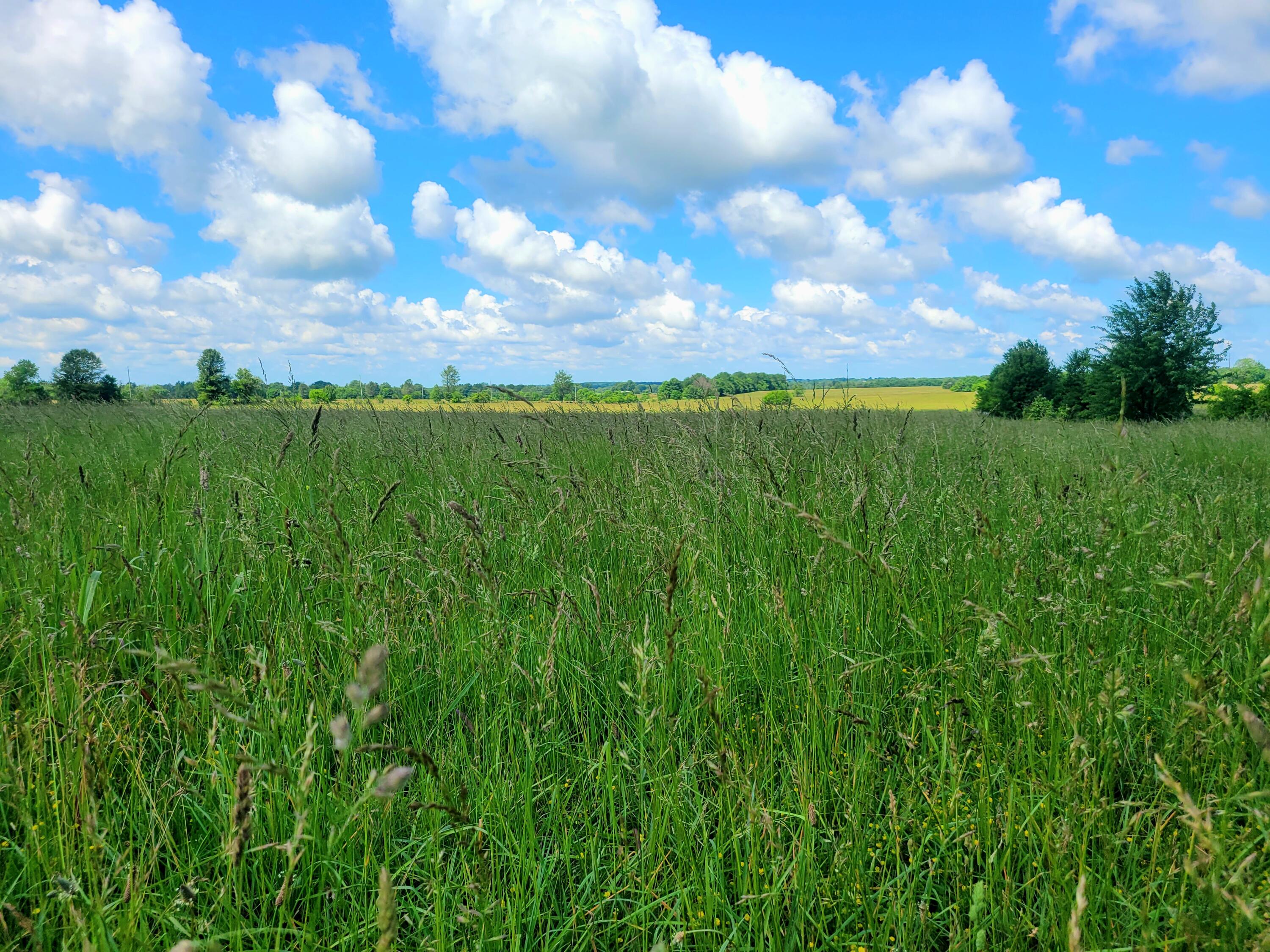 3246 North State Highway 125 Property Photo 6