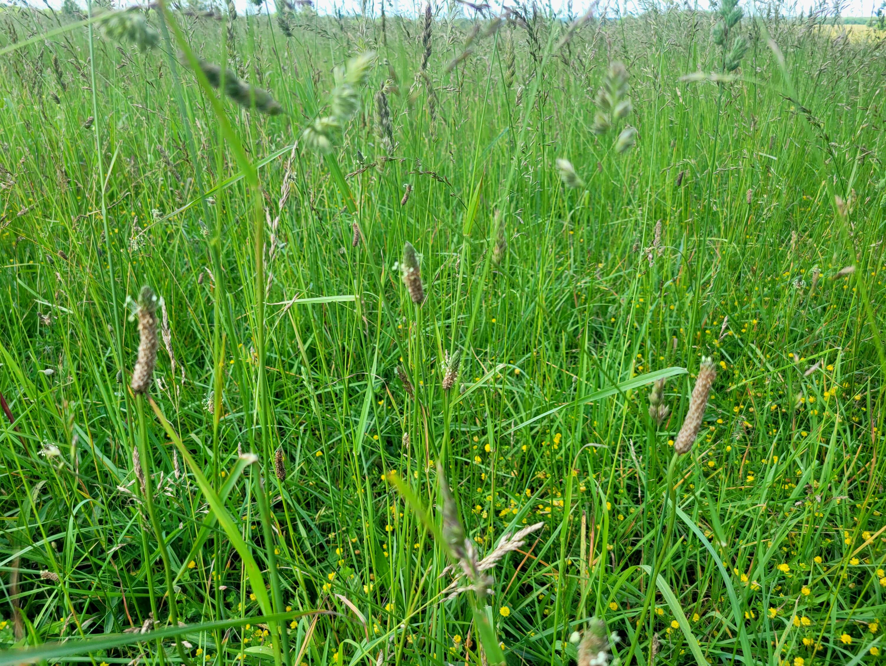 3246 North State Highway 125 Property Photo 7