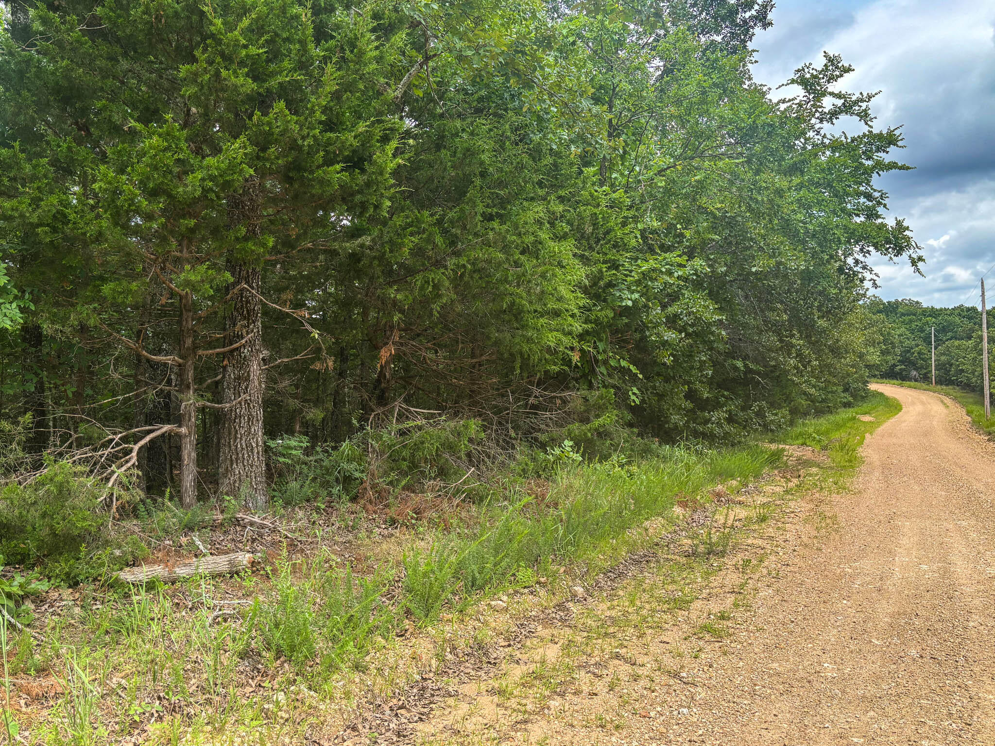 000 County Road 815