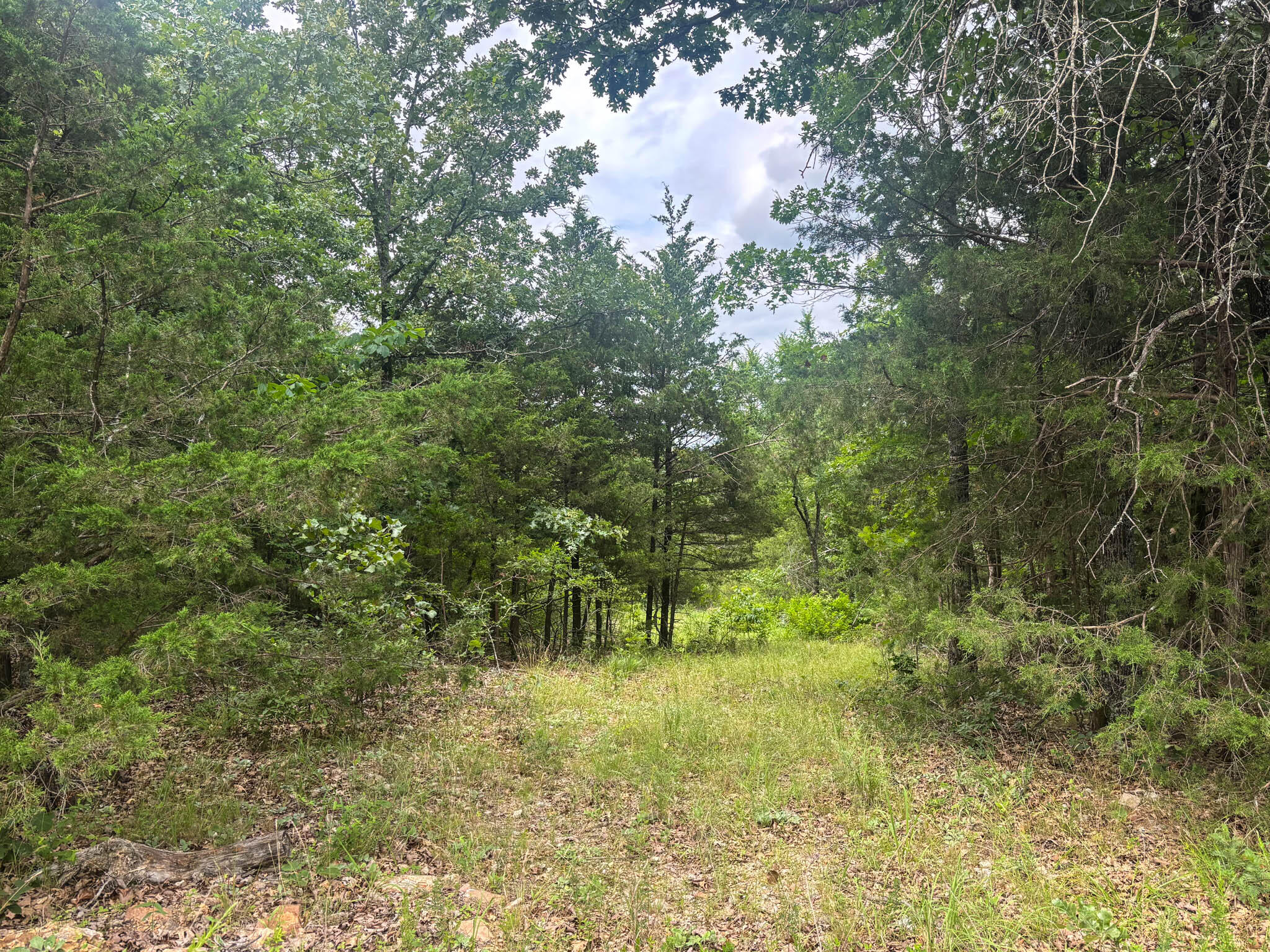 000 County Road 815 Property Photo 2