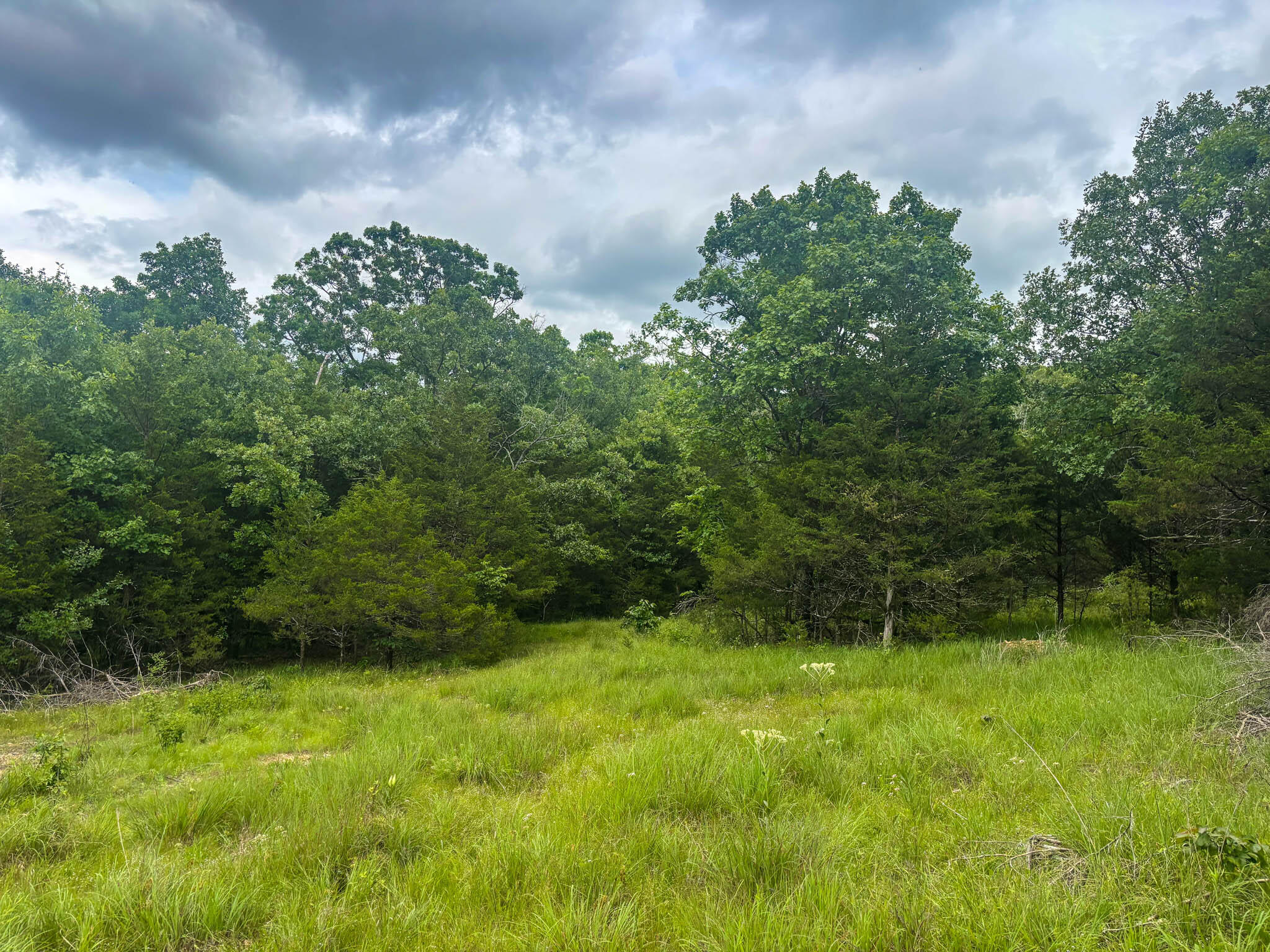 000 County Road 815 Property Photo 3