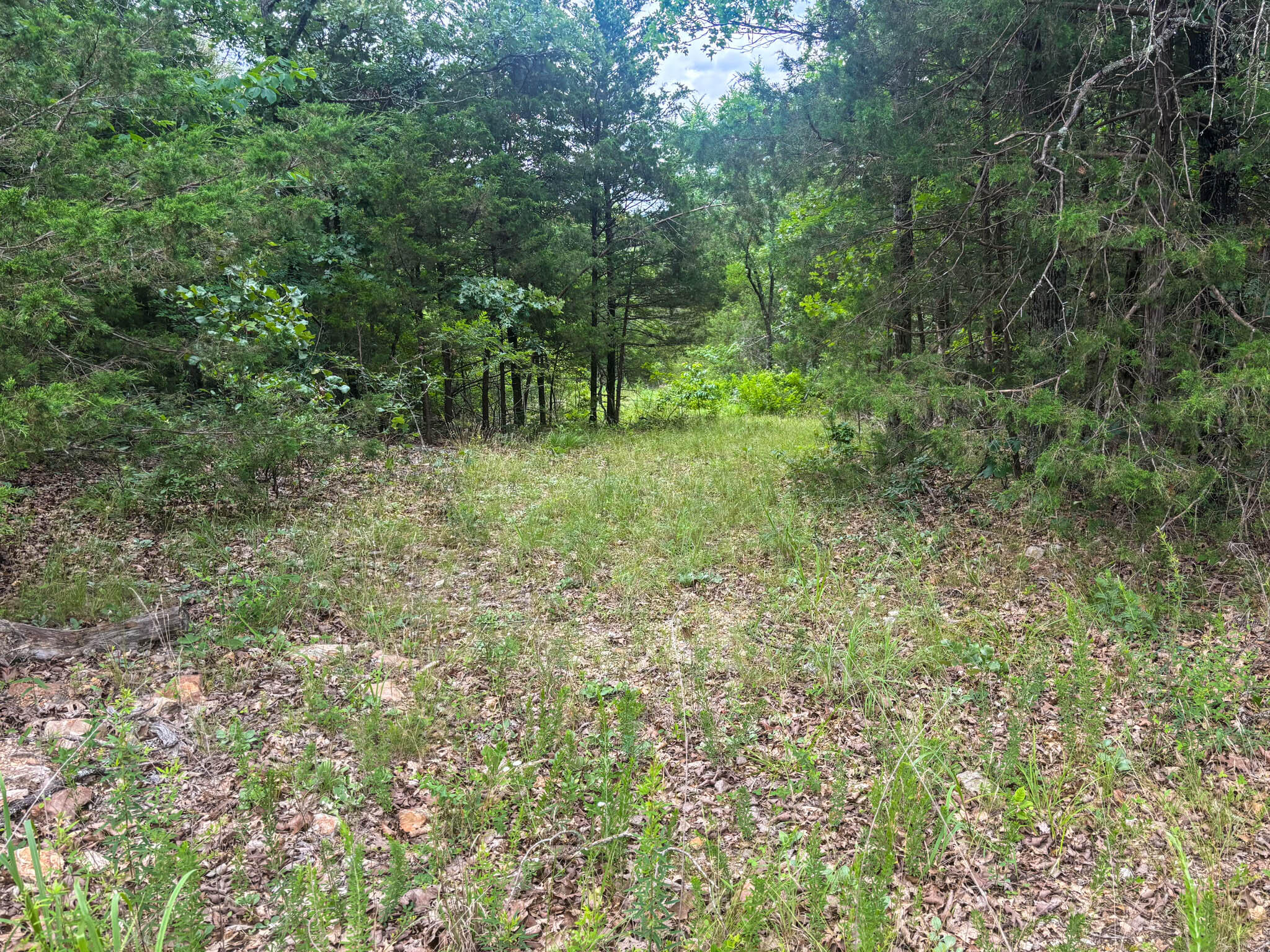 000 County Road 815 Property Photo 4