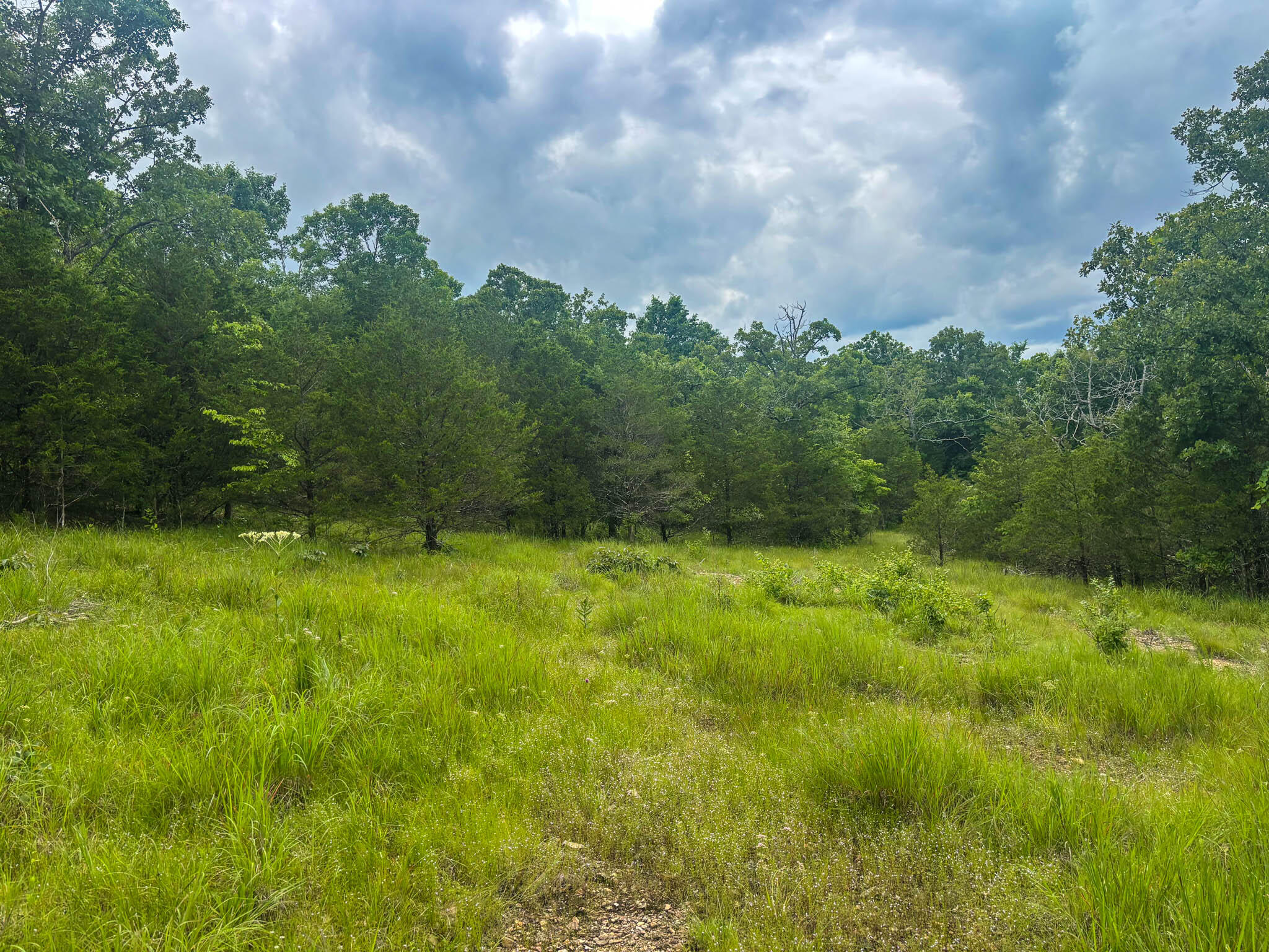 000 County Road 815 Property Photo 5