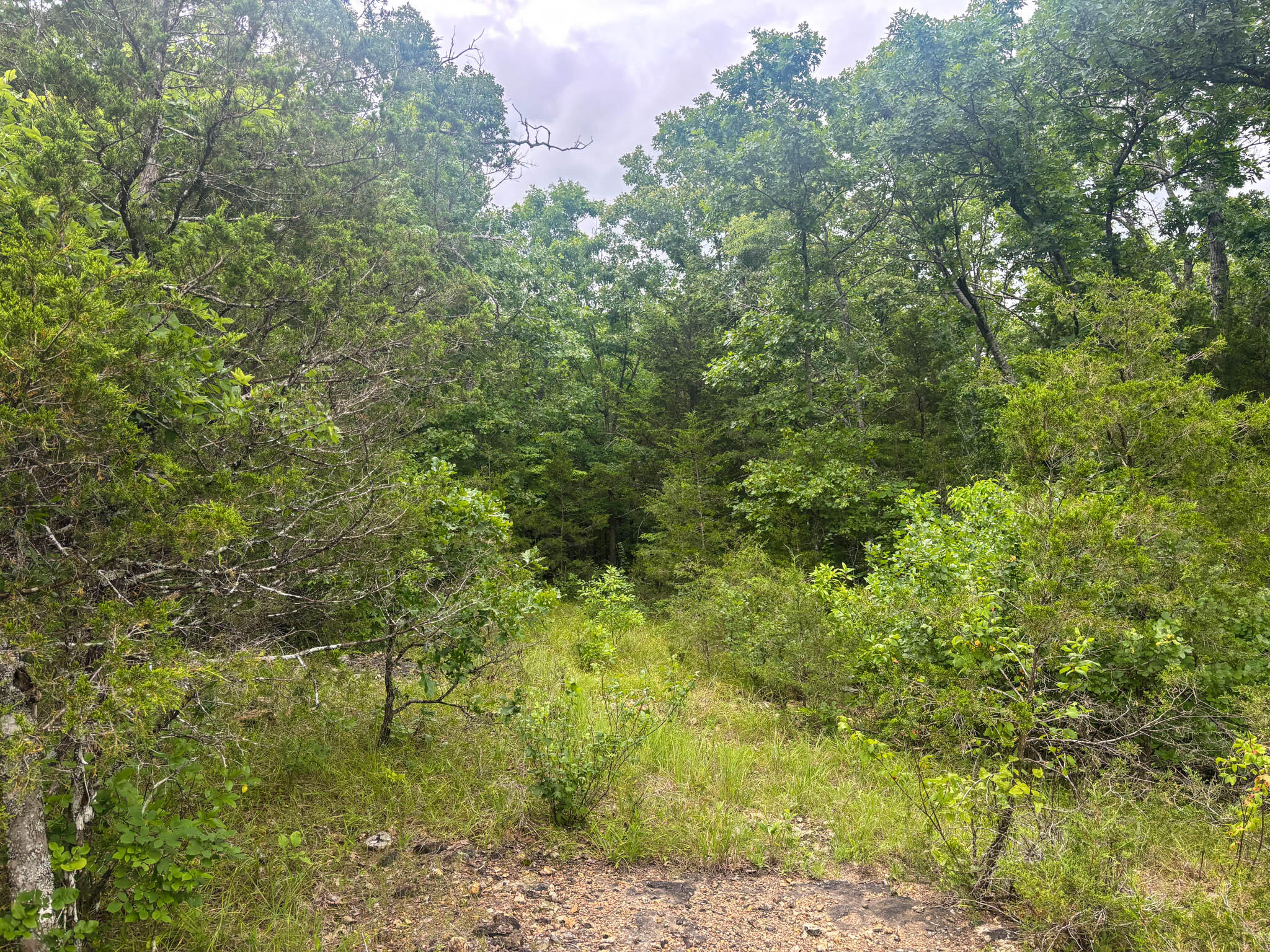 000 County Road 815 Property Photo 6