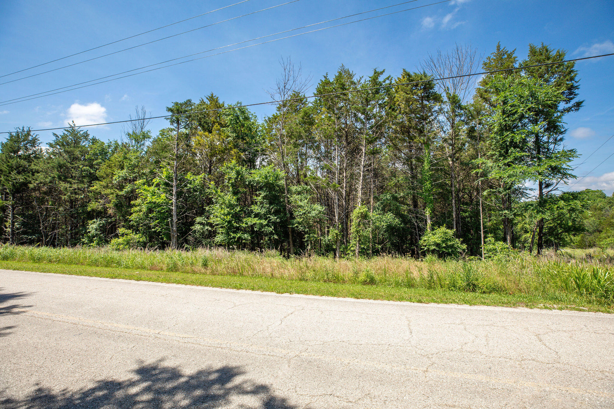205 Mayflower Drive Property Photo 6