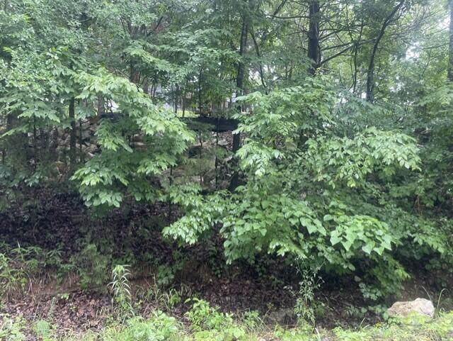 000 Sun Perch Lane Property Photo 1