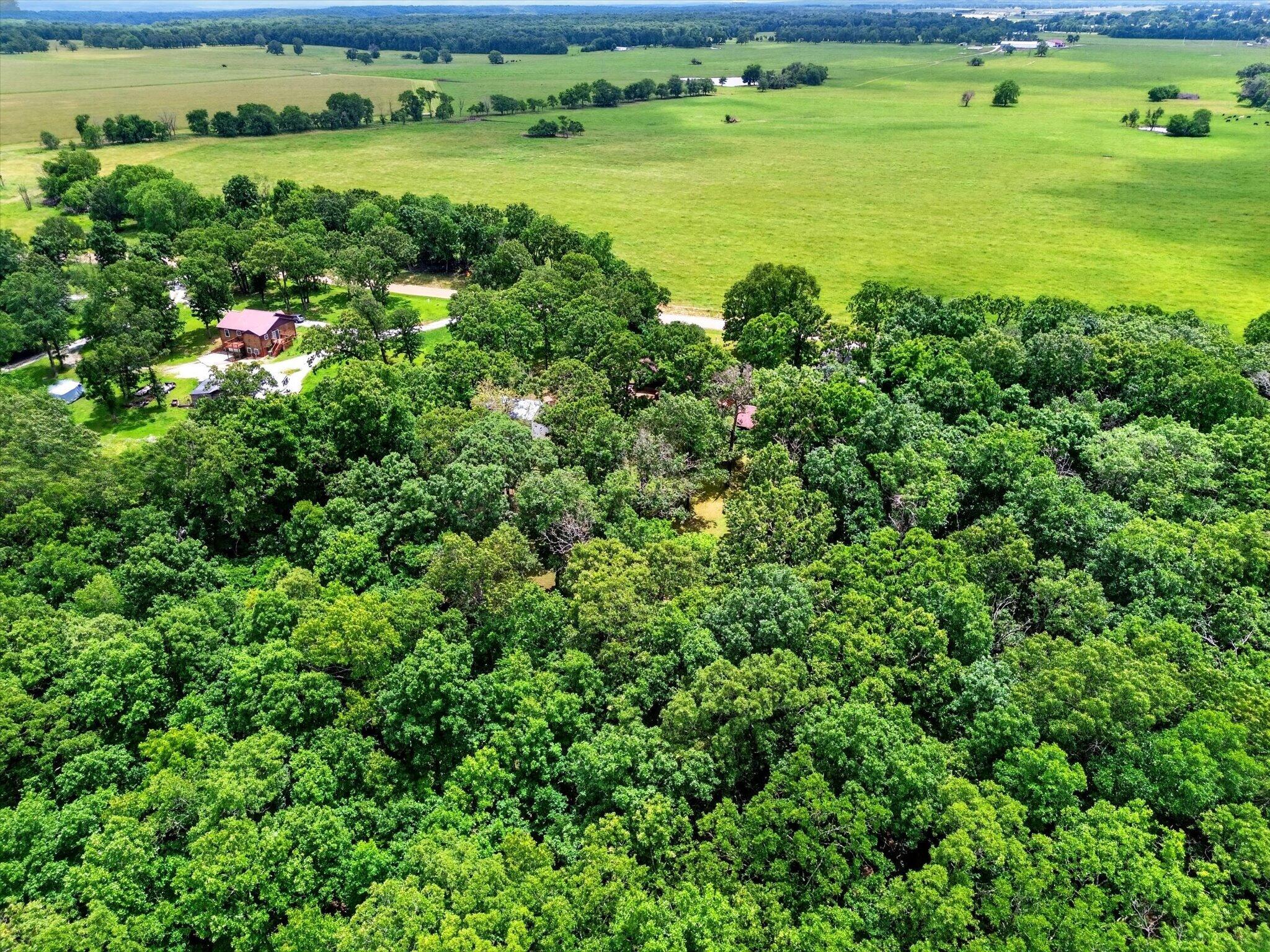 17258 Highway B Property Photo 42