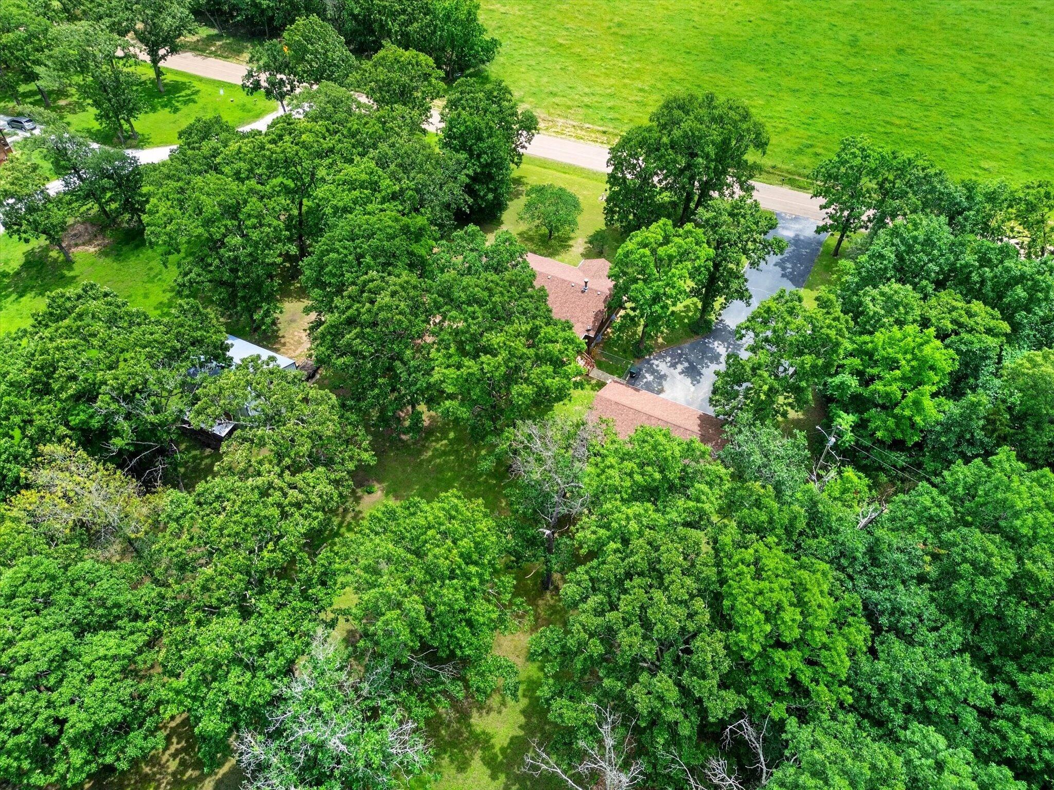 17258 Highway B Property Photo 43