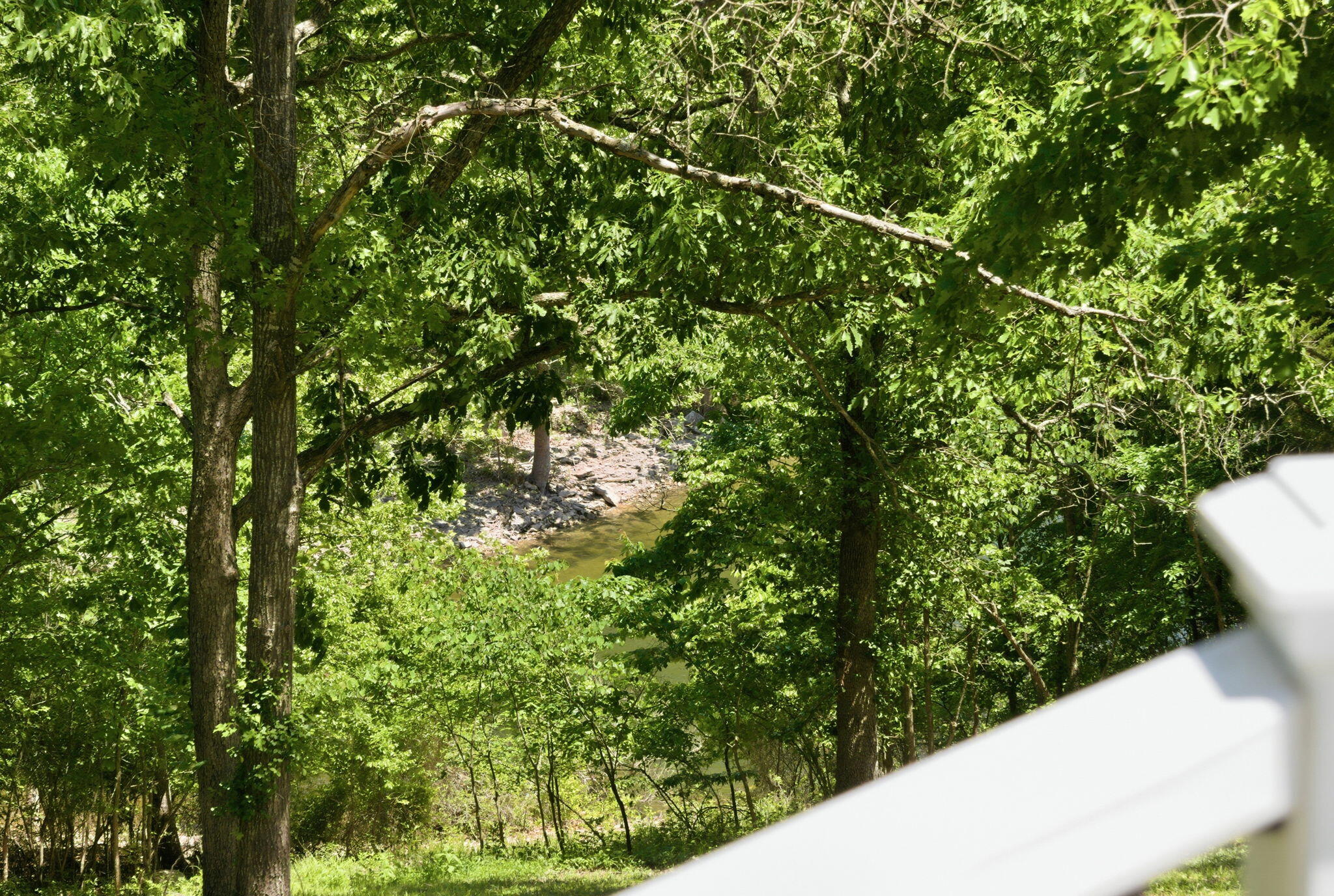 139 Lakeshore Drive Property Photo 37