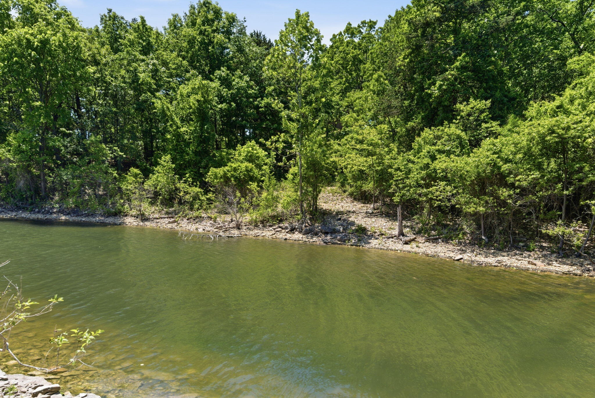 139 Lakeshore Drive Property Photo 46