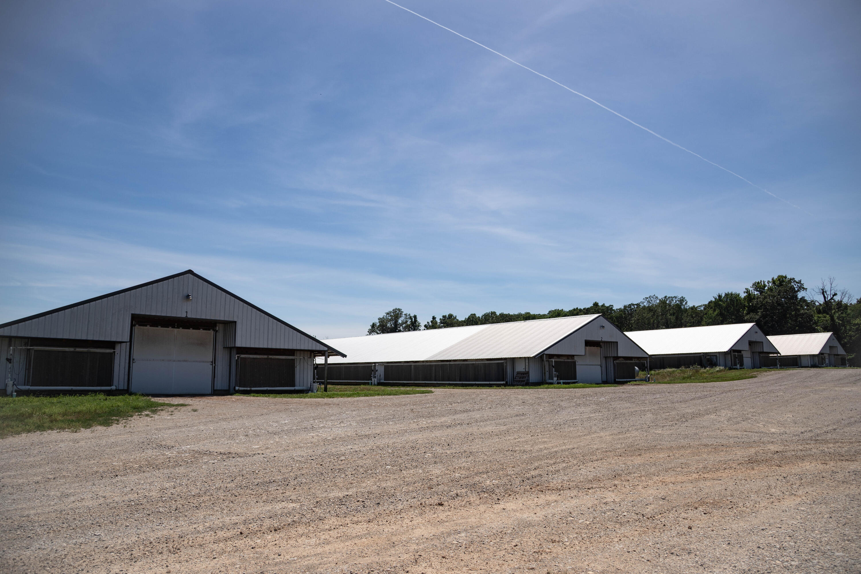 60325865 Property Photo 148