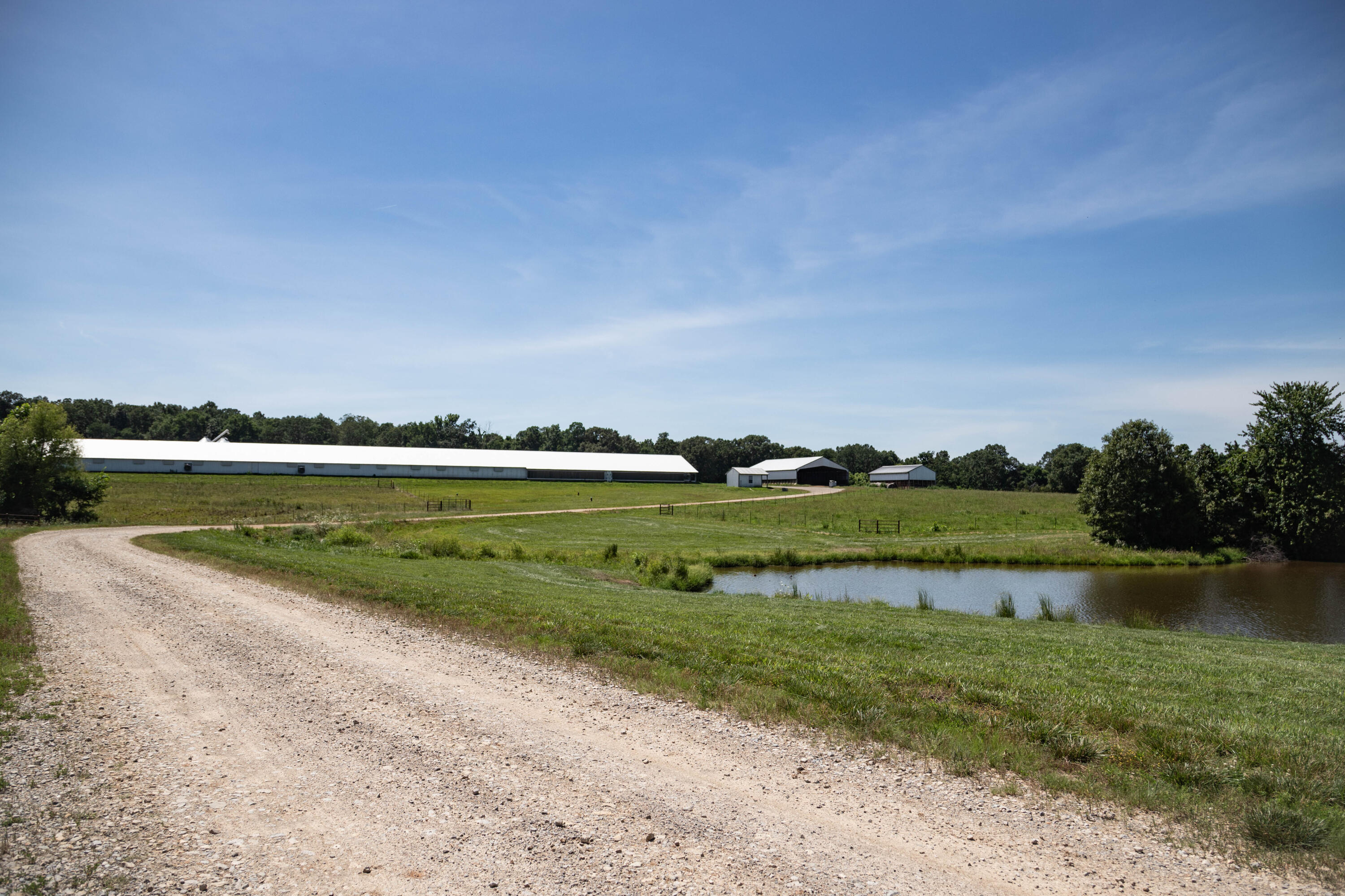60325865 Property Photo 155