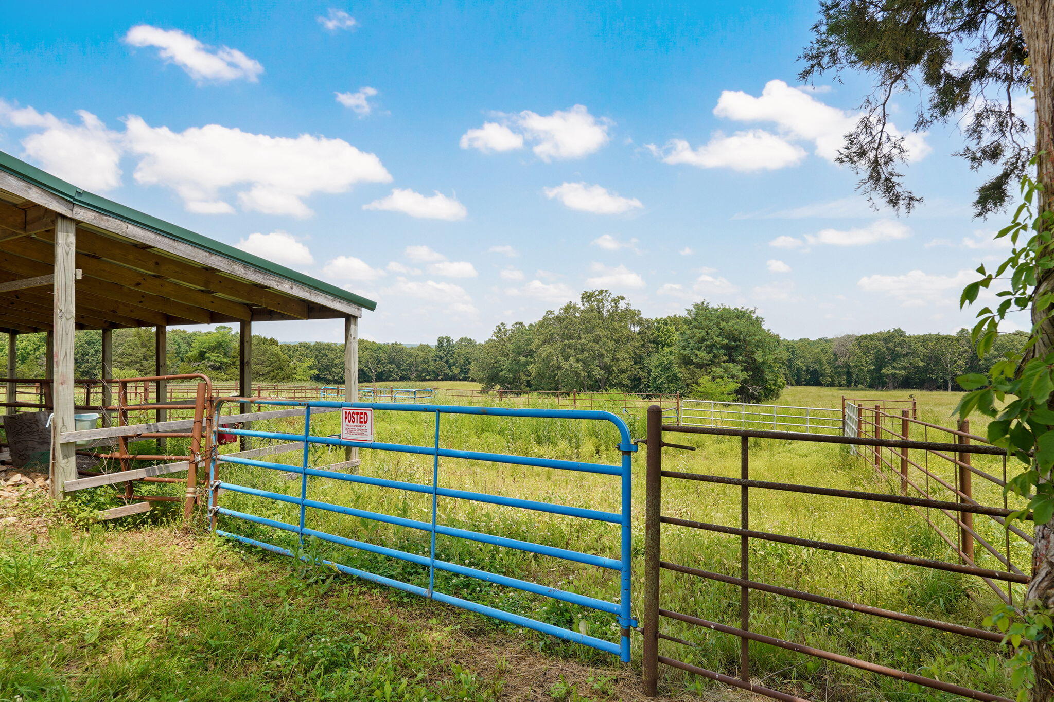 30017 Jeffries Road Property Photo 15