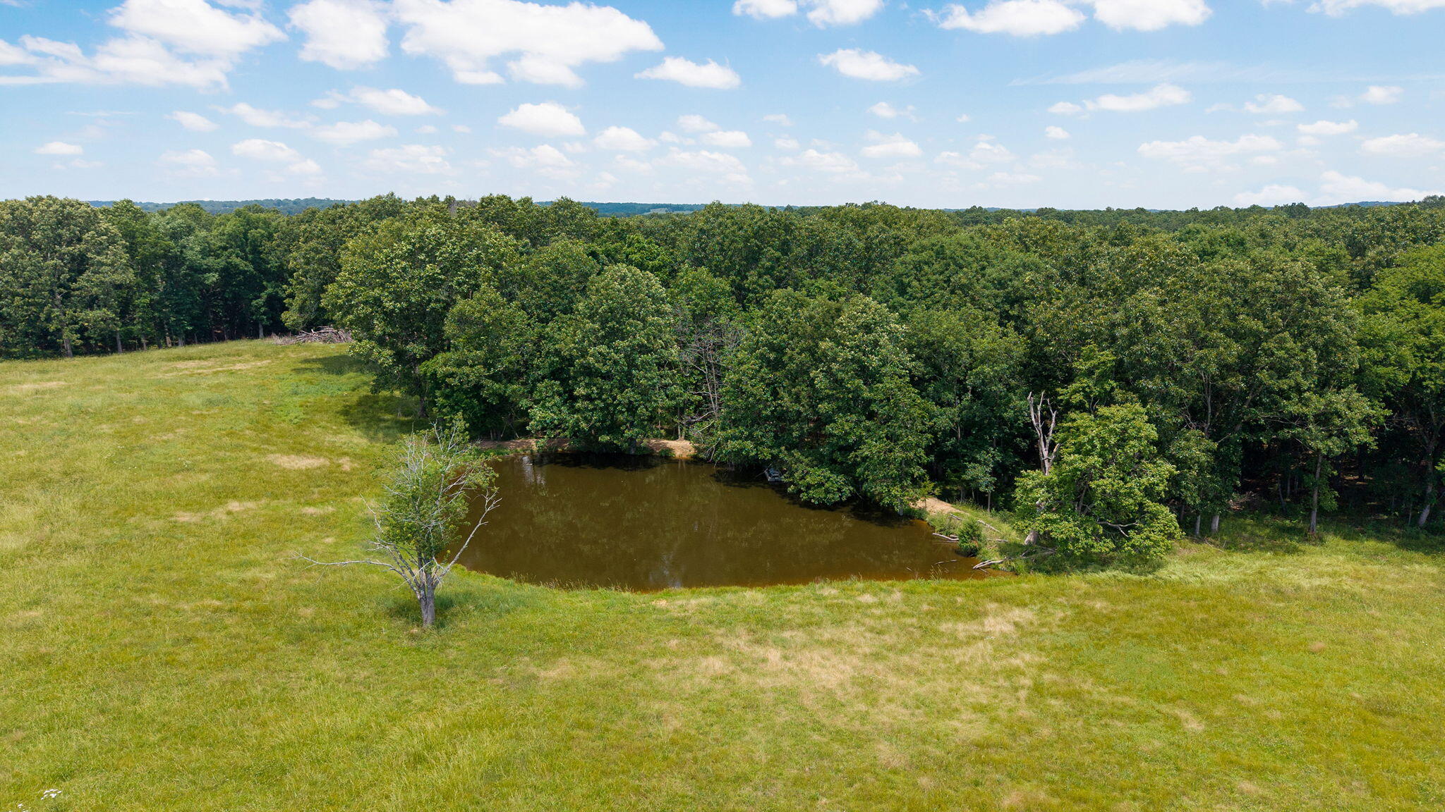30017 Jeffries Road Property Photo 39