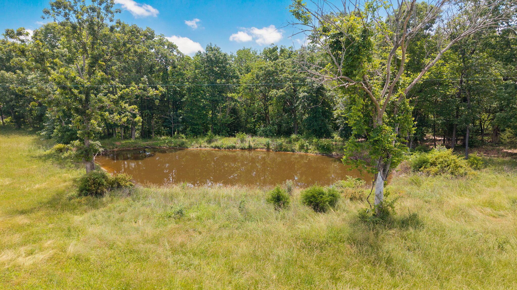 30017 Jeffries Road Property Photo 41