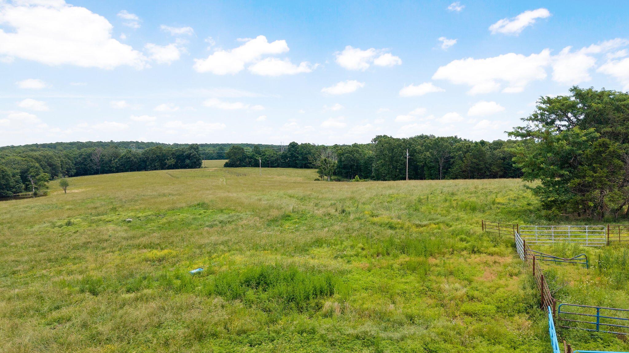 30017 Jeffries Road Property Photo 47