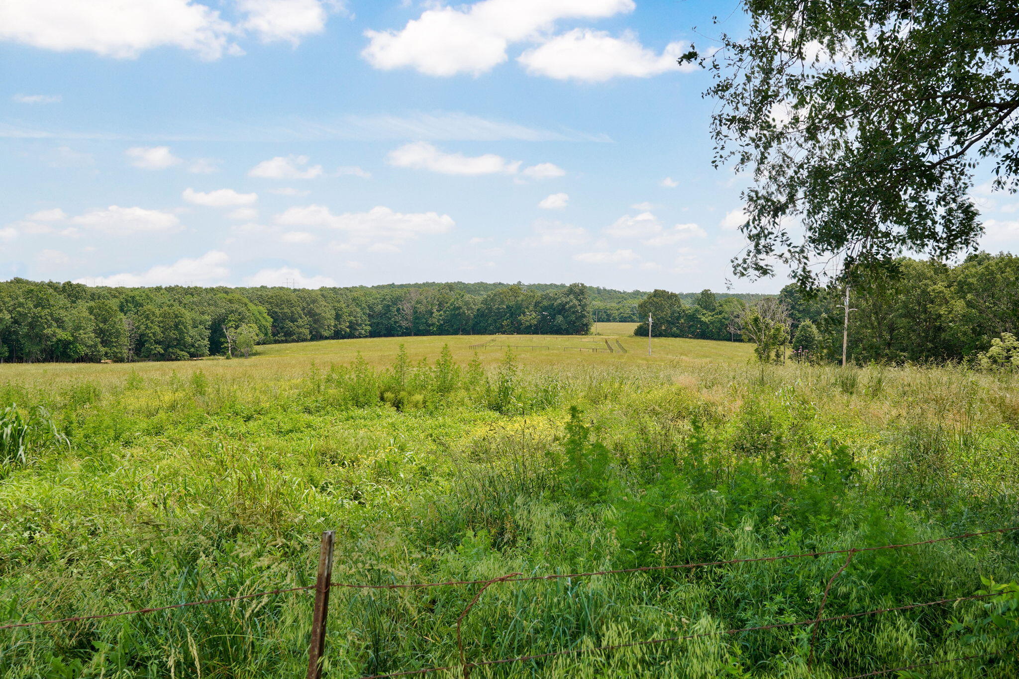 30017 Jeffries Road Property Photo 48