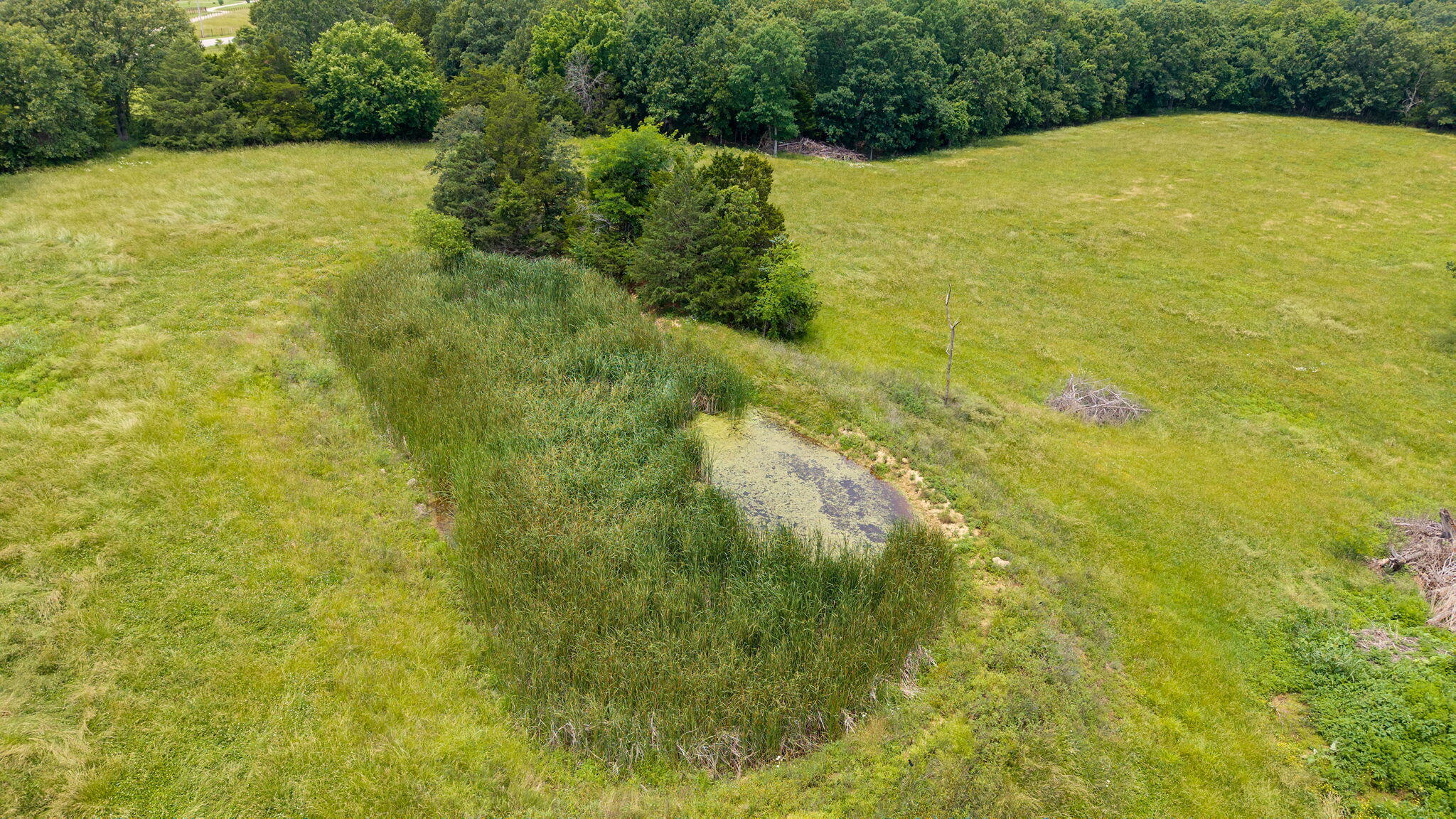 30017 Jeffries Road Property Photo 52