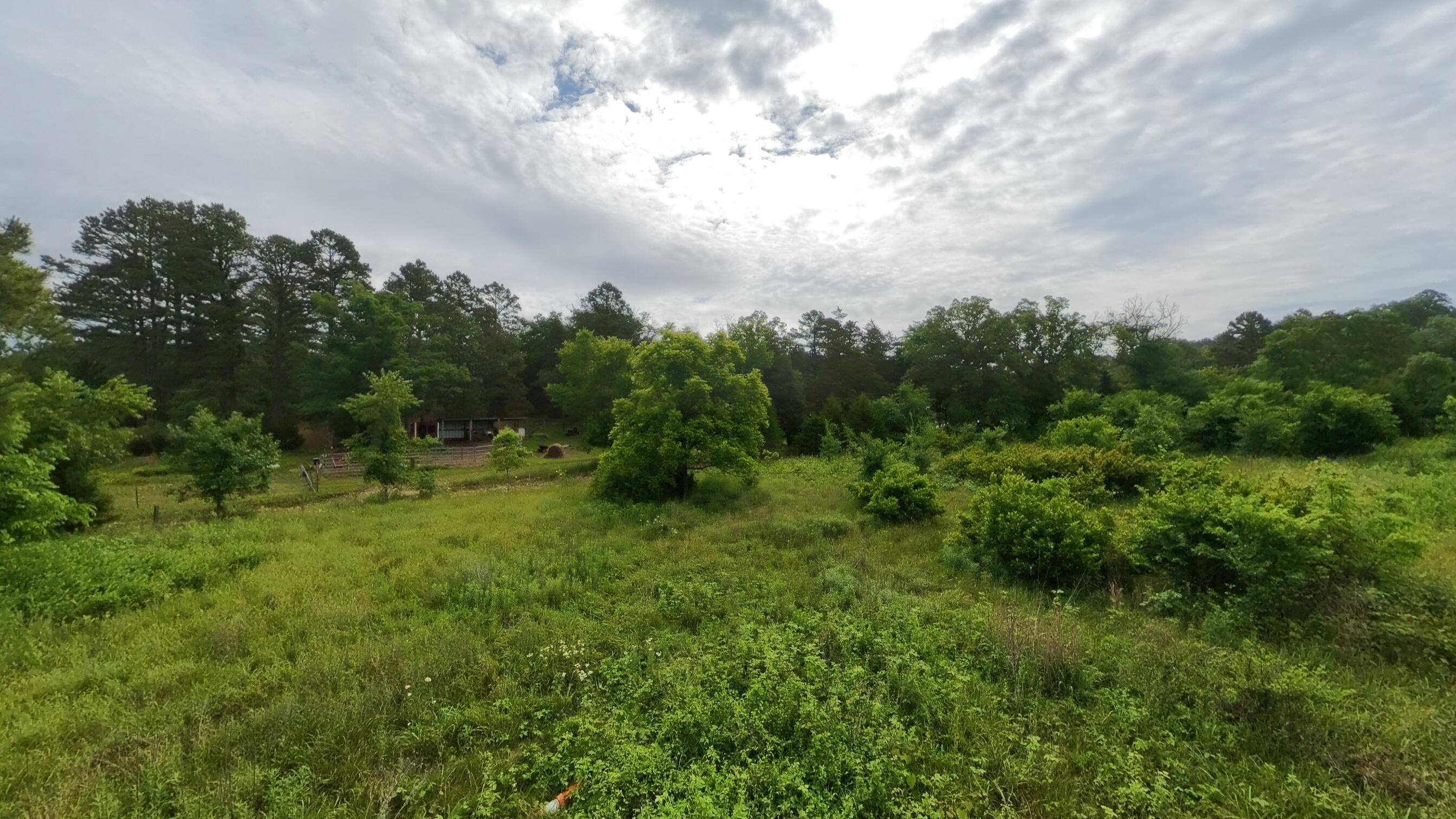5413 County Road 579 Property Photo 47