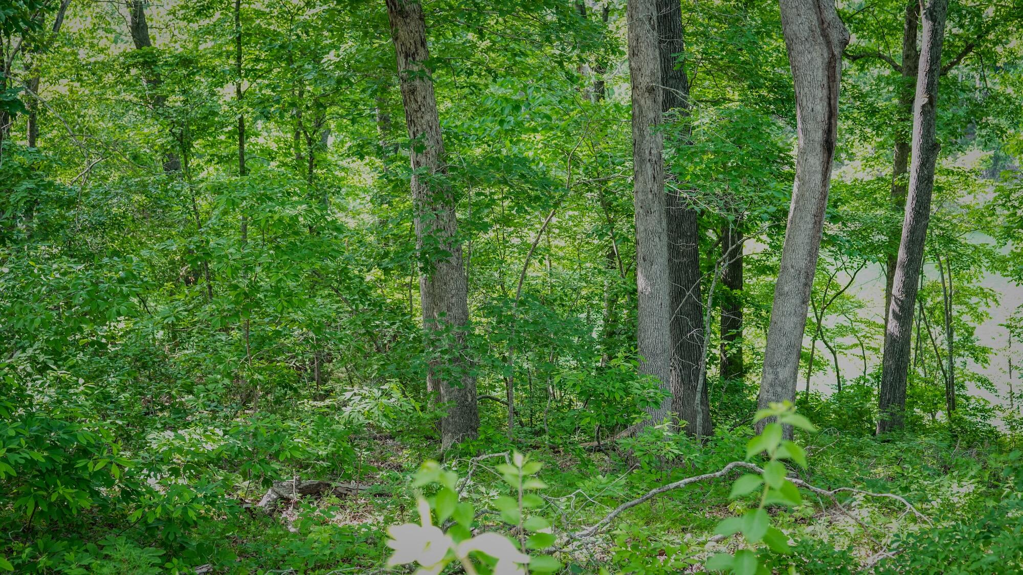 000 Arrowhead Circle Property Photo 5