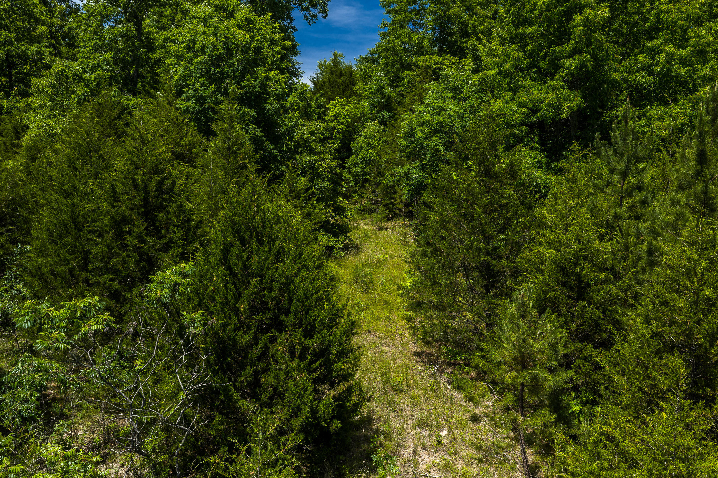 Tbd Timberhill Road-tract 1 Property Photo 3