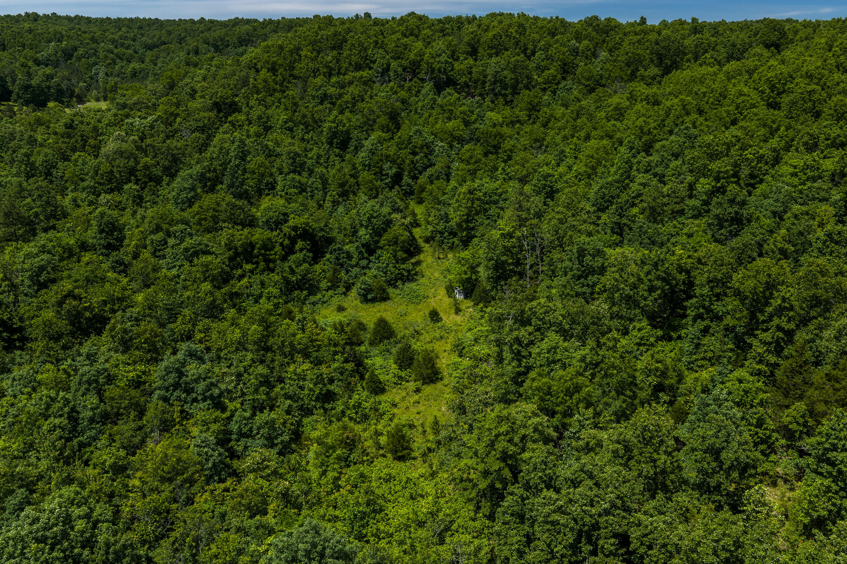 Tbd Timberhill Road-tract 1 Property Photo 5