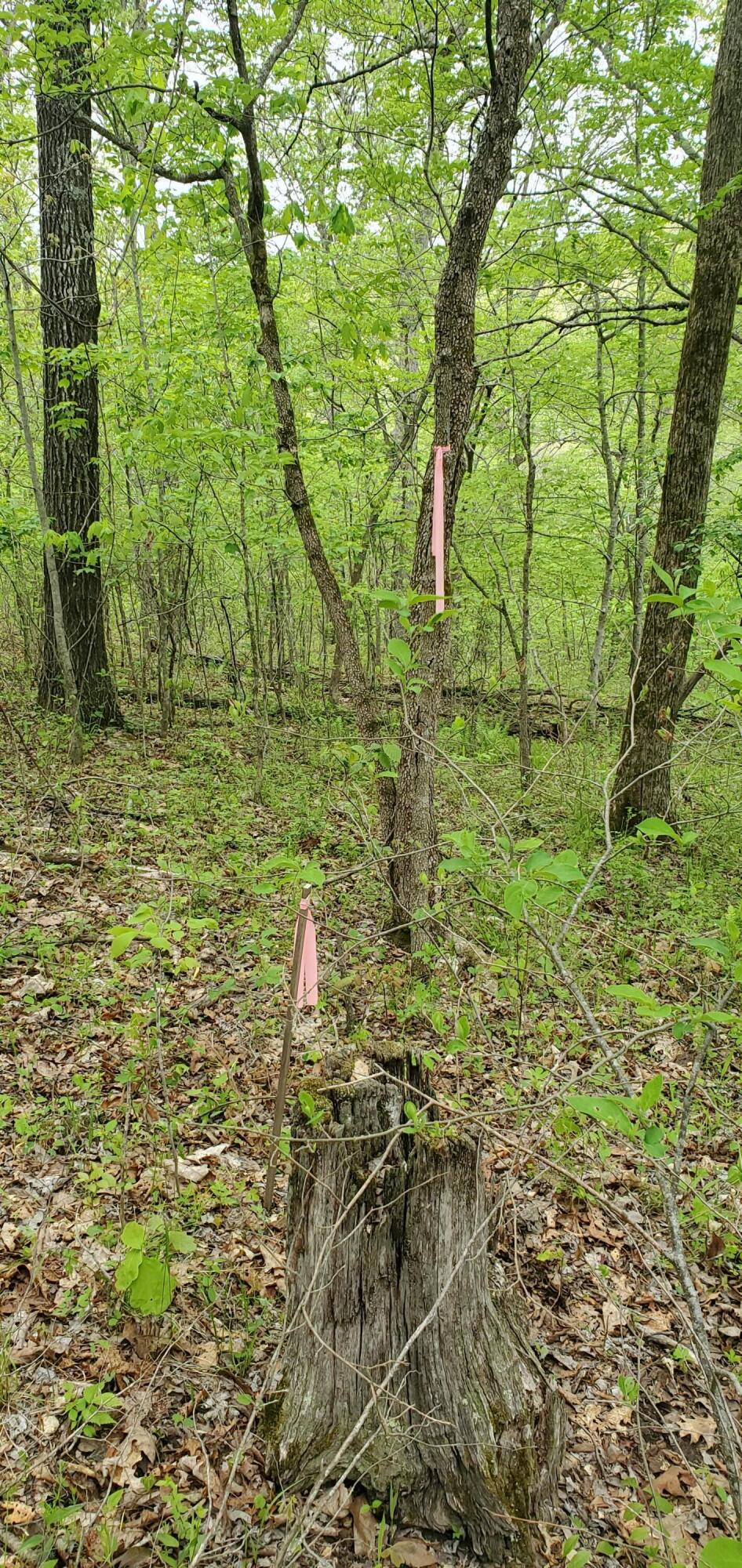 Tbd Timberhill Road-tract 1 Property Photo 15