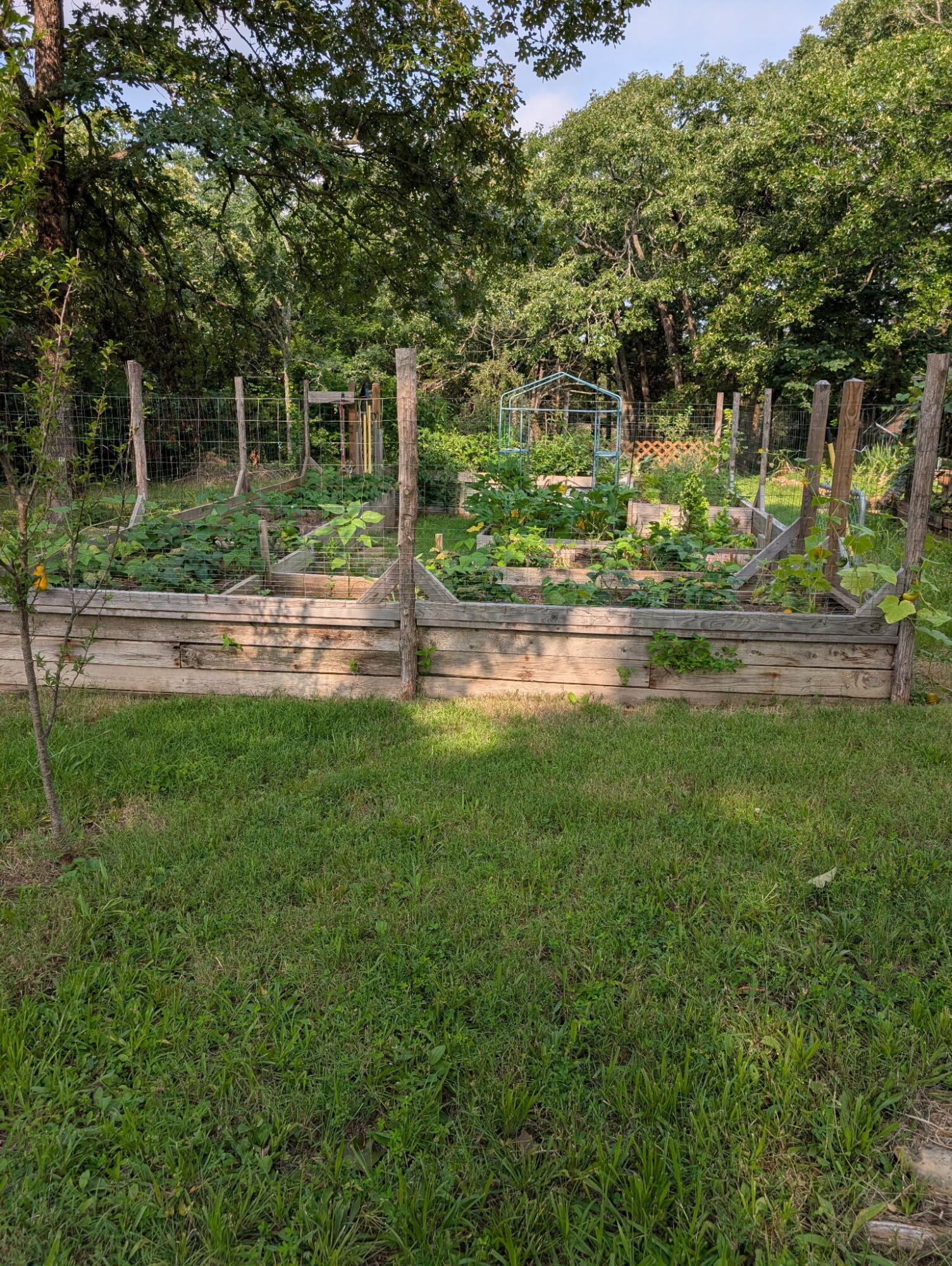 2017 County Road 342 Property Photo 5