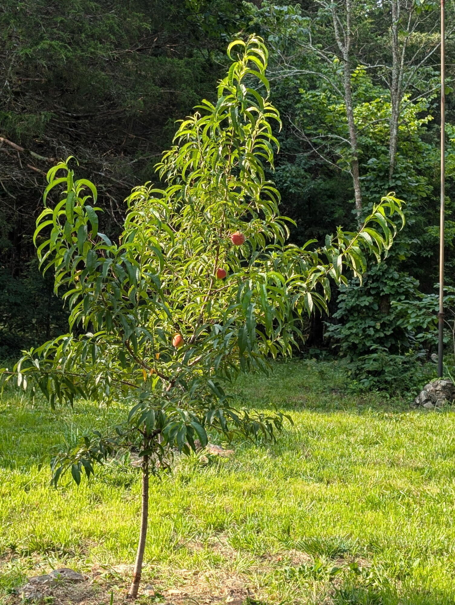 2017 County Road 342 Property Photo 6