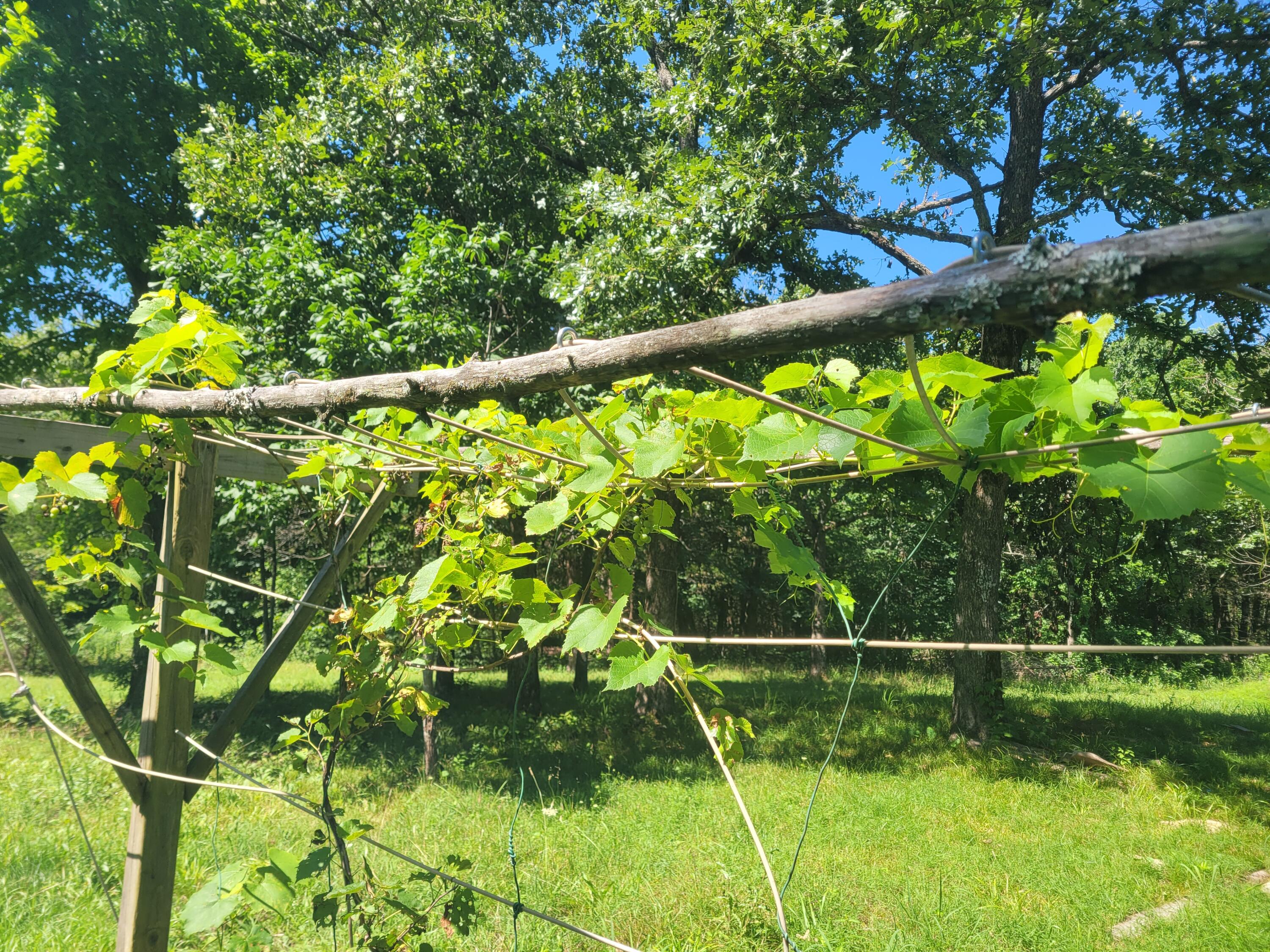 2017 County Road 342 Property Photo 27